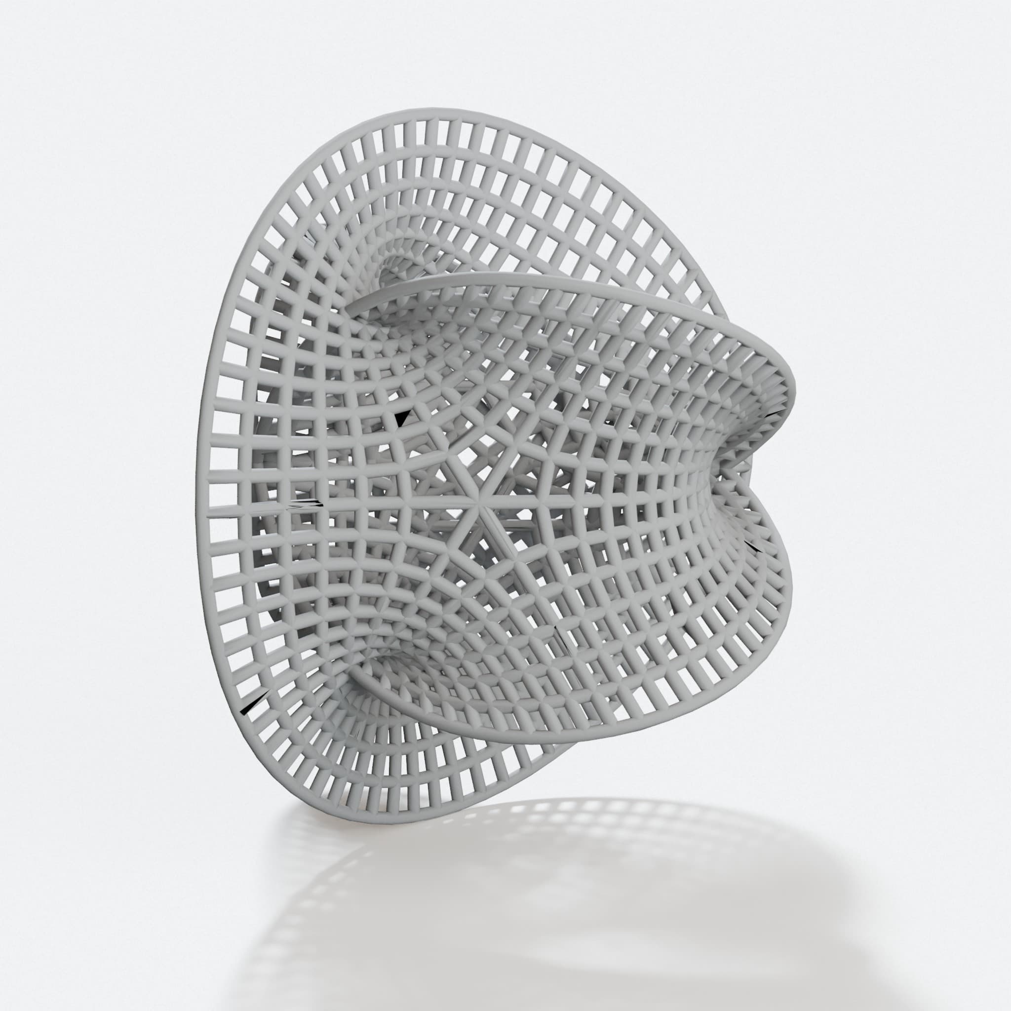 Calabi-Yau Manifold 3D Printed Wall Art – Math & Physics Decor, hero tilt
