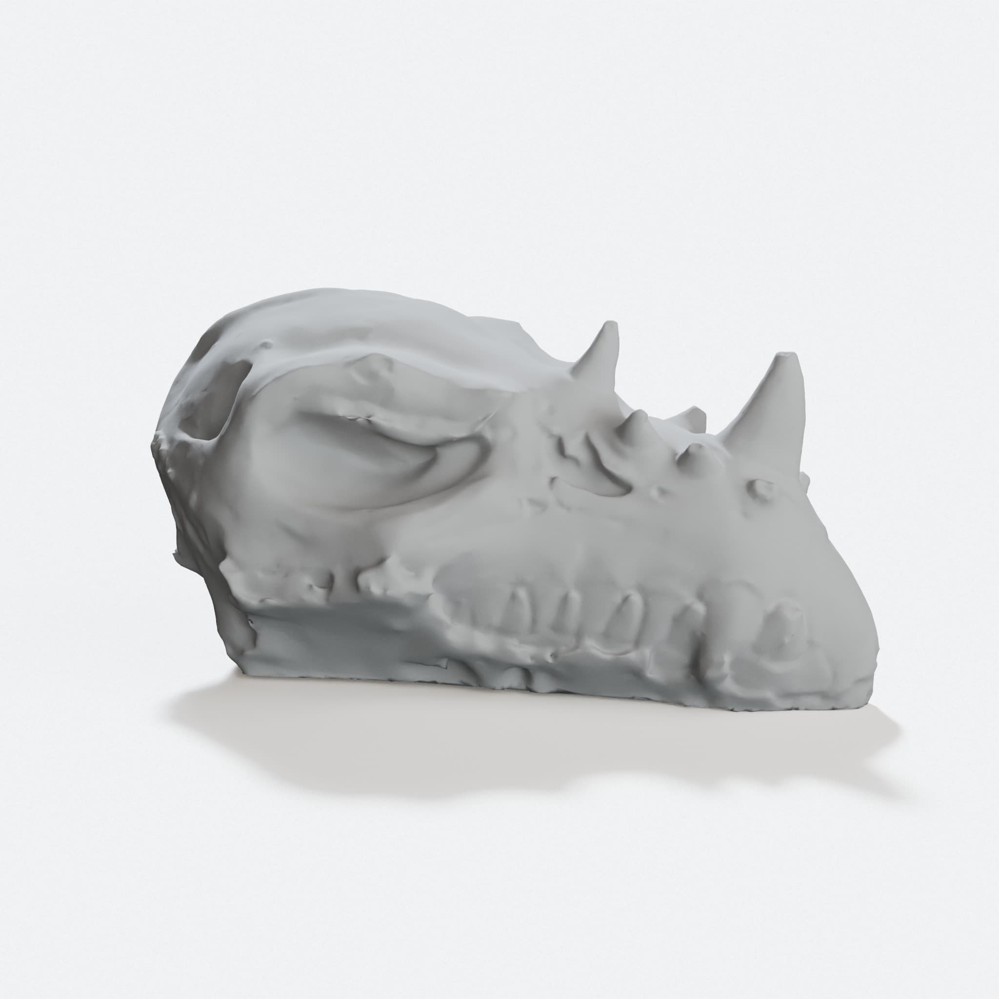 Dragon Skull 3D Printed Home Decor Piece, hero tilt