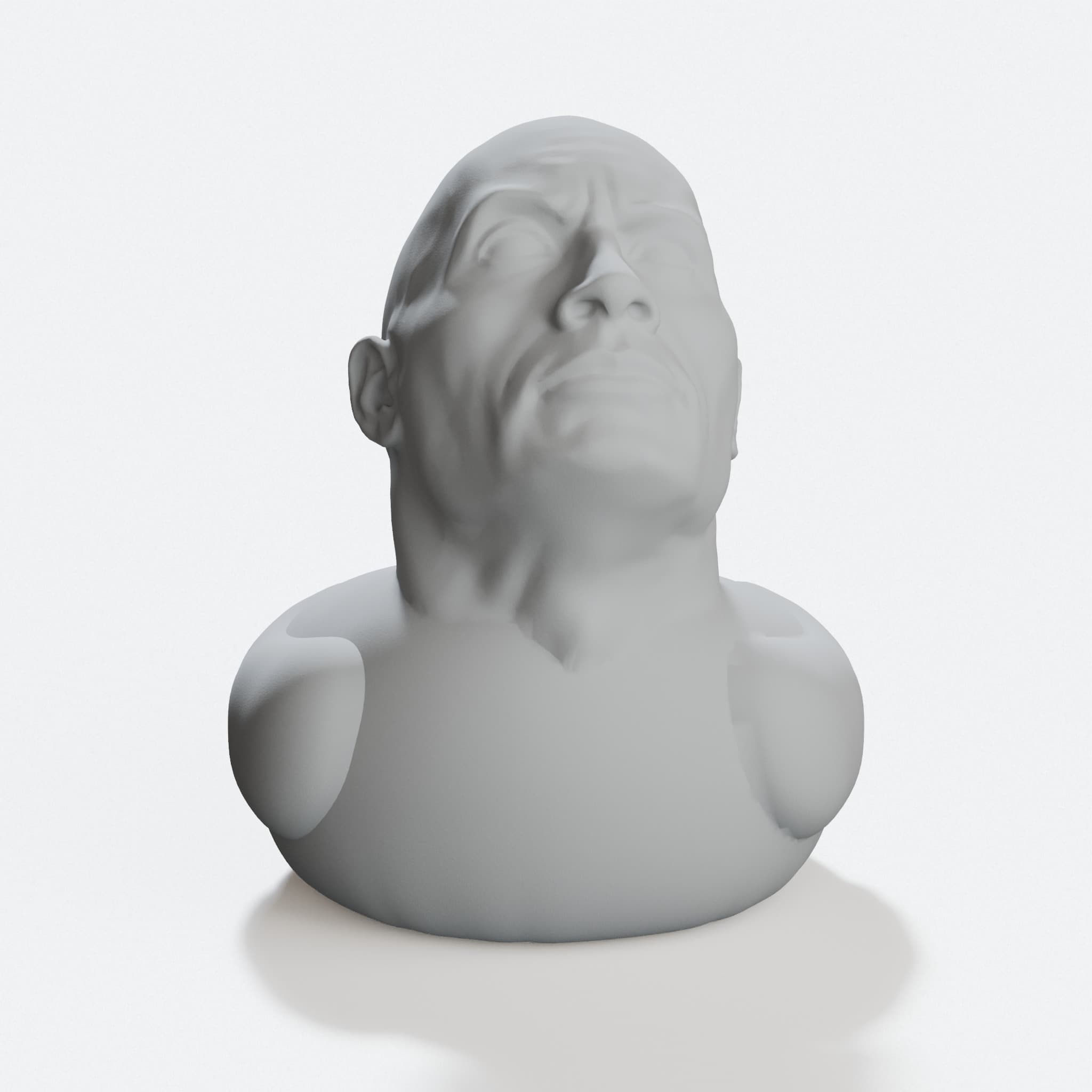 Dwayne the Duck Johnson 3D Printed Toy, hero tilt