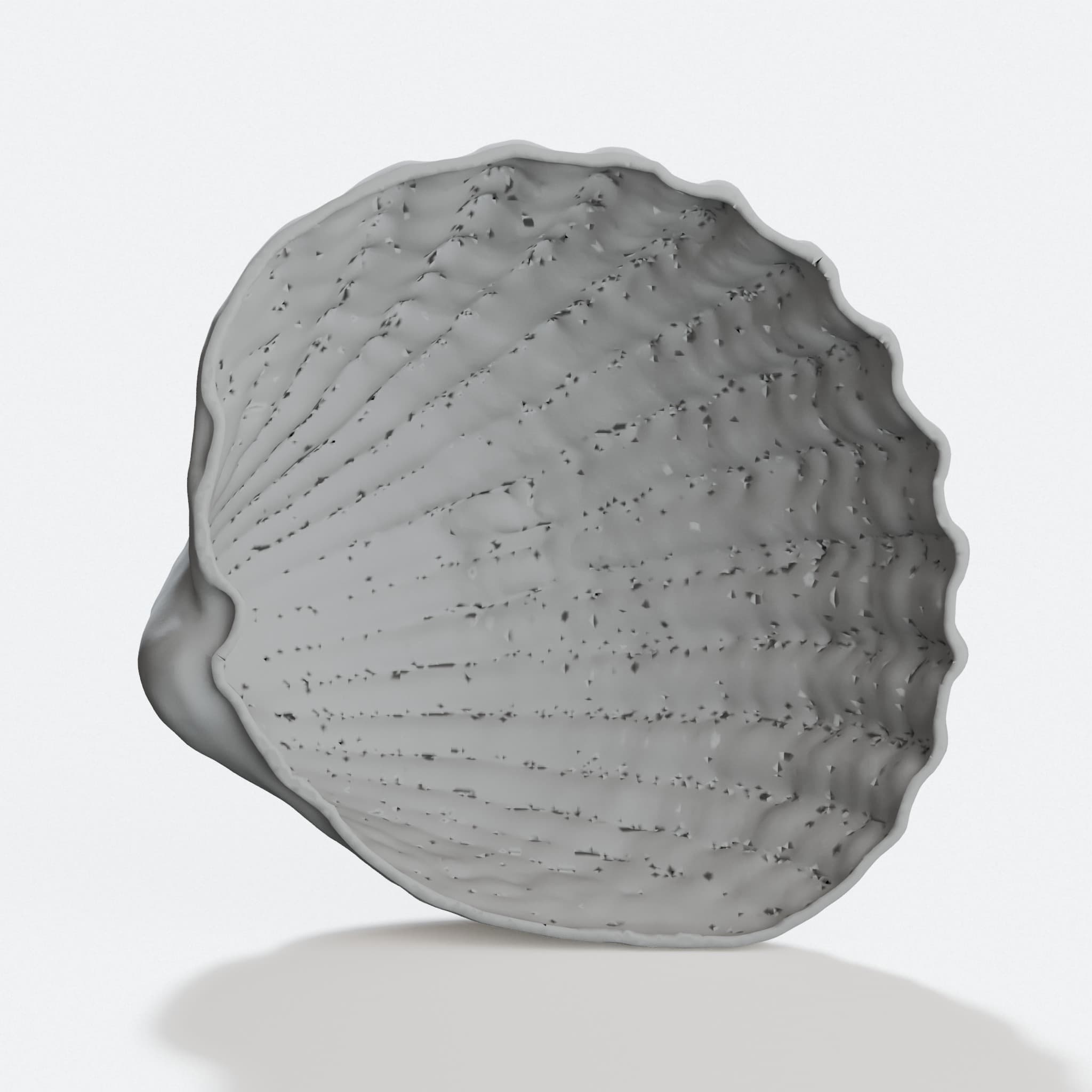 3D Printed Sea Shell Home Decor Sculpture, hero tilt