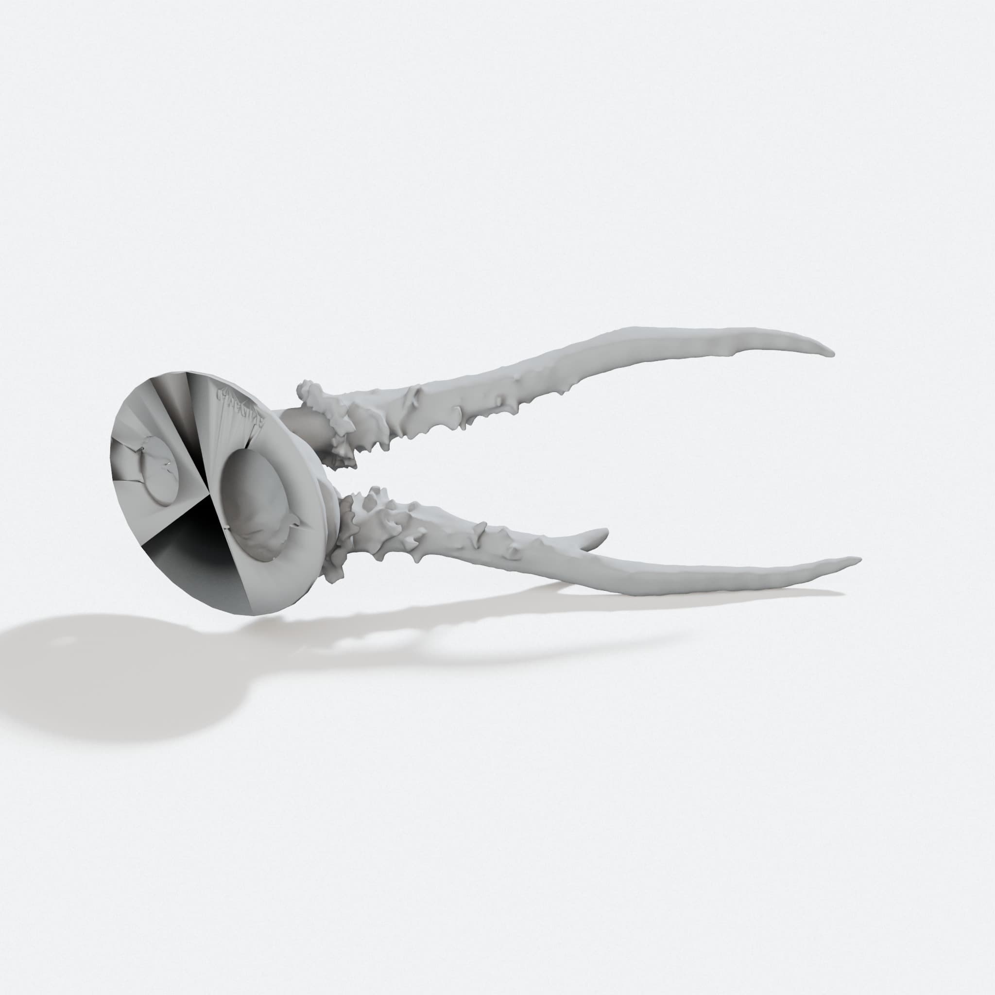 Roe Deer Antler Trophy 3D Printed Home Decor, turn three quarter