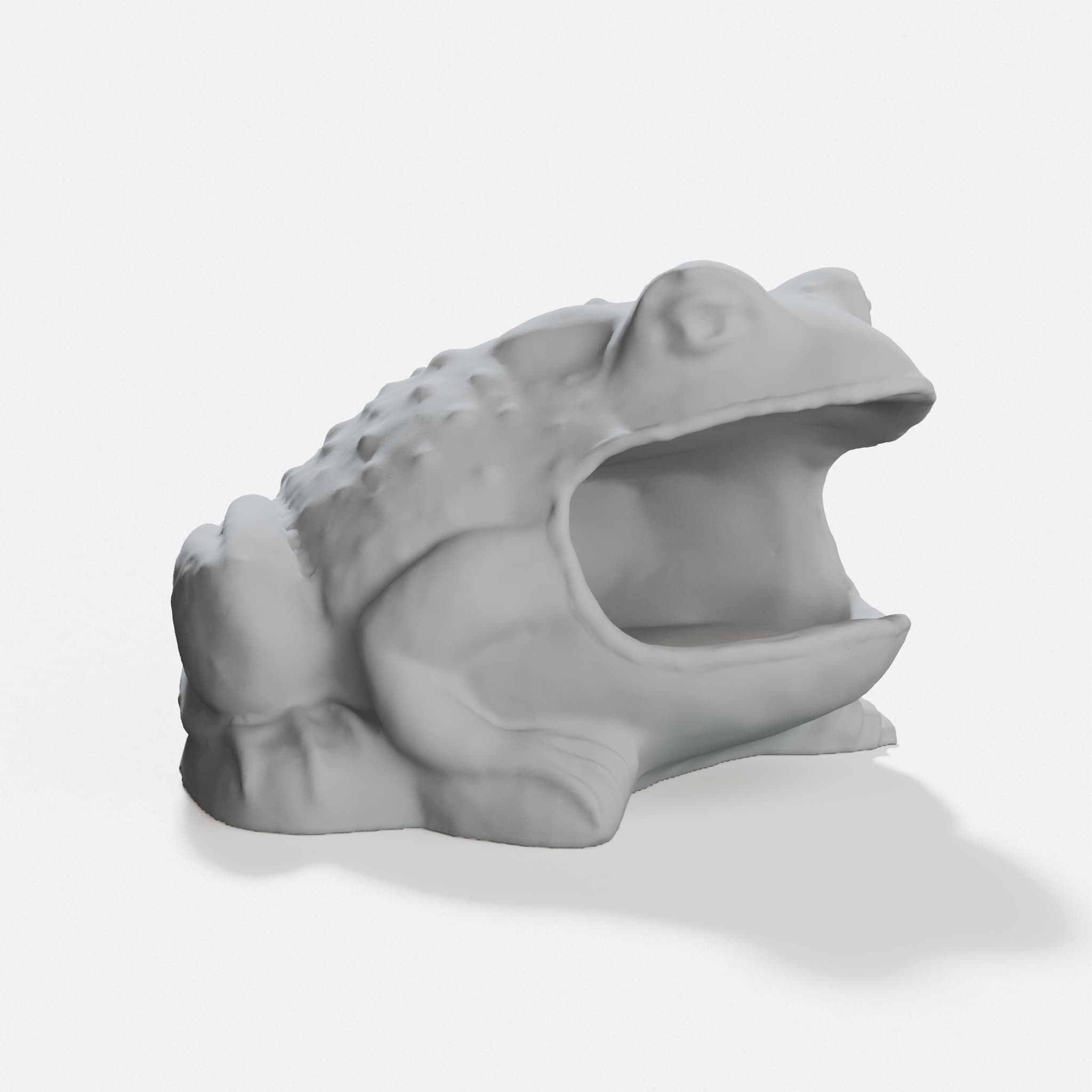Toad Soap Holder for the Bathroom Sink, hero tilt