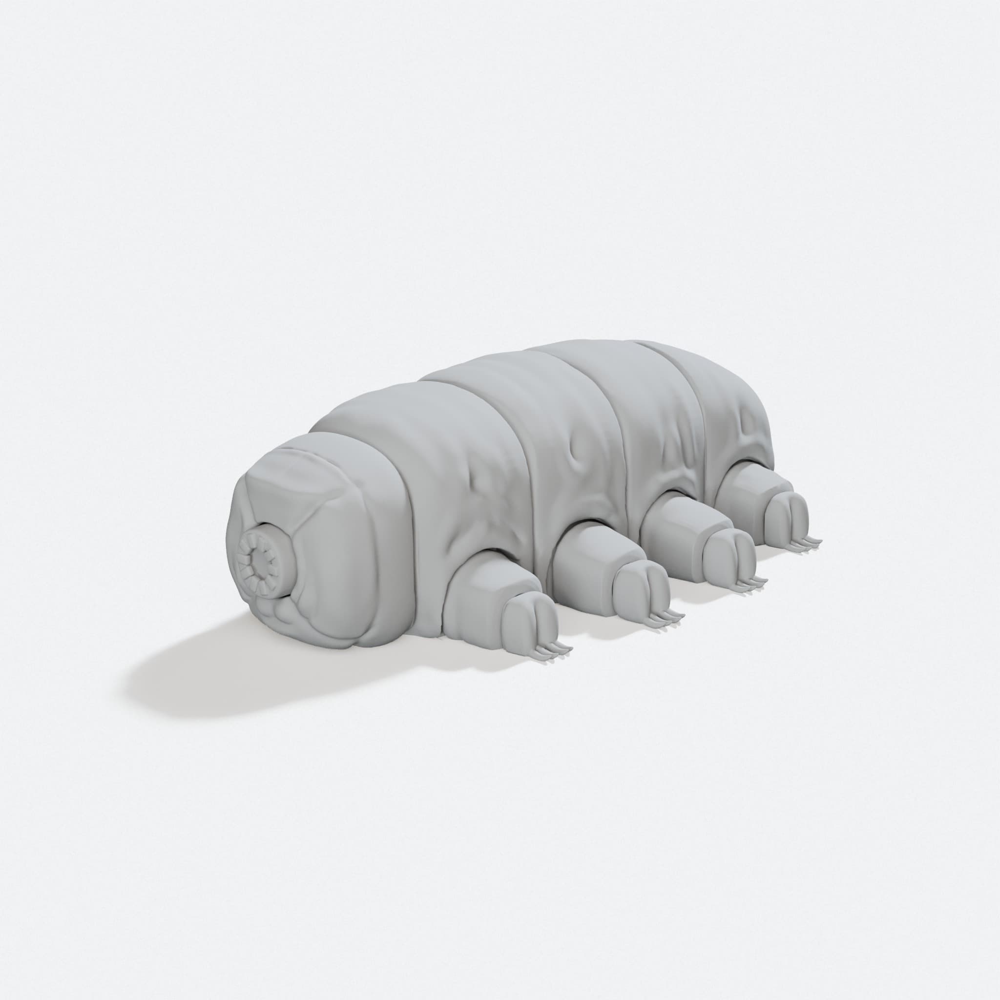 Articulated Tardigrade Fidget Toy, turn three quarter