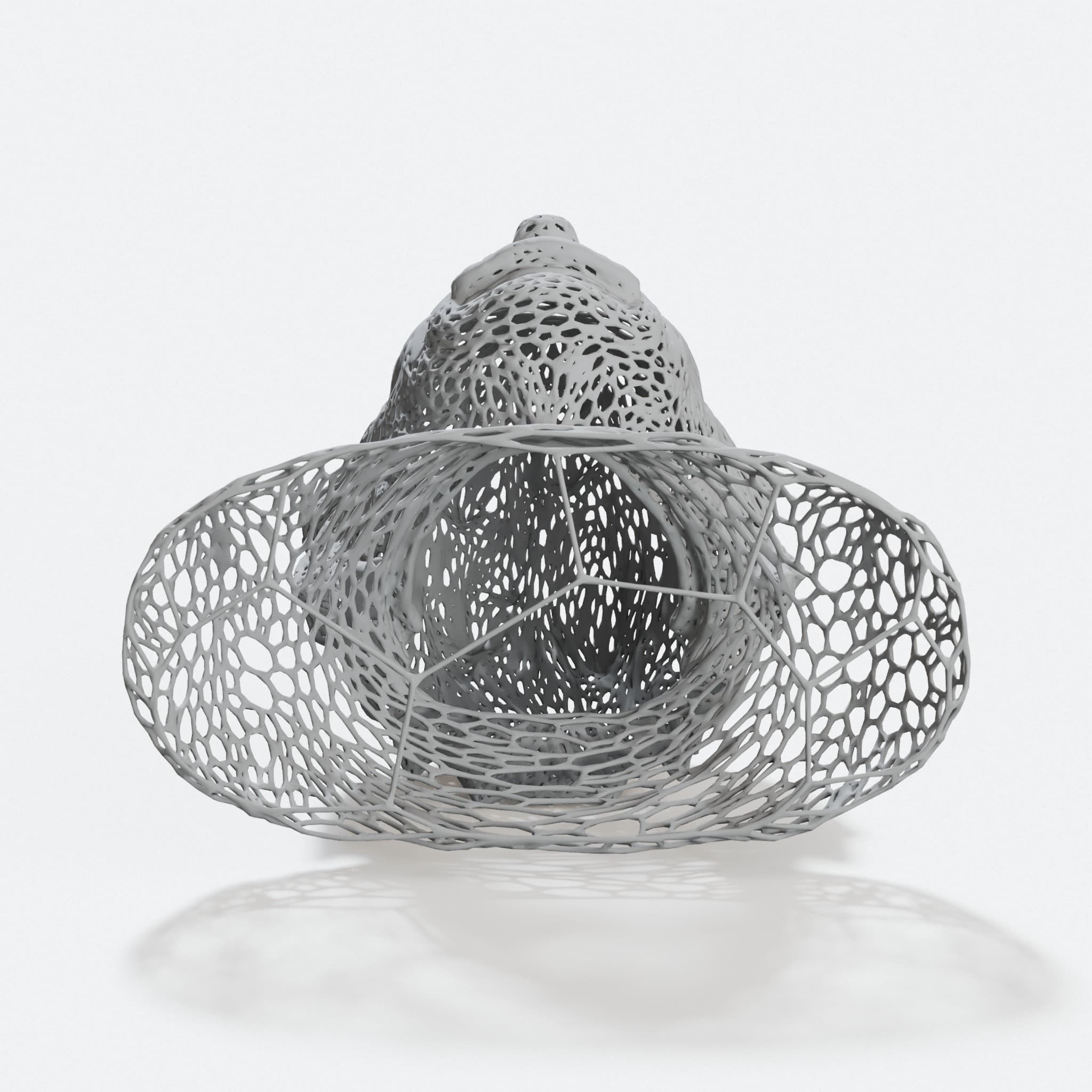 Einstein Voronoi - Low Poly Style, hero tilt
