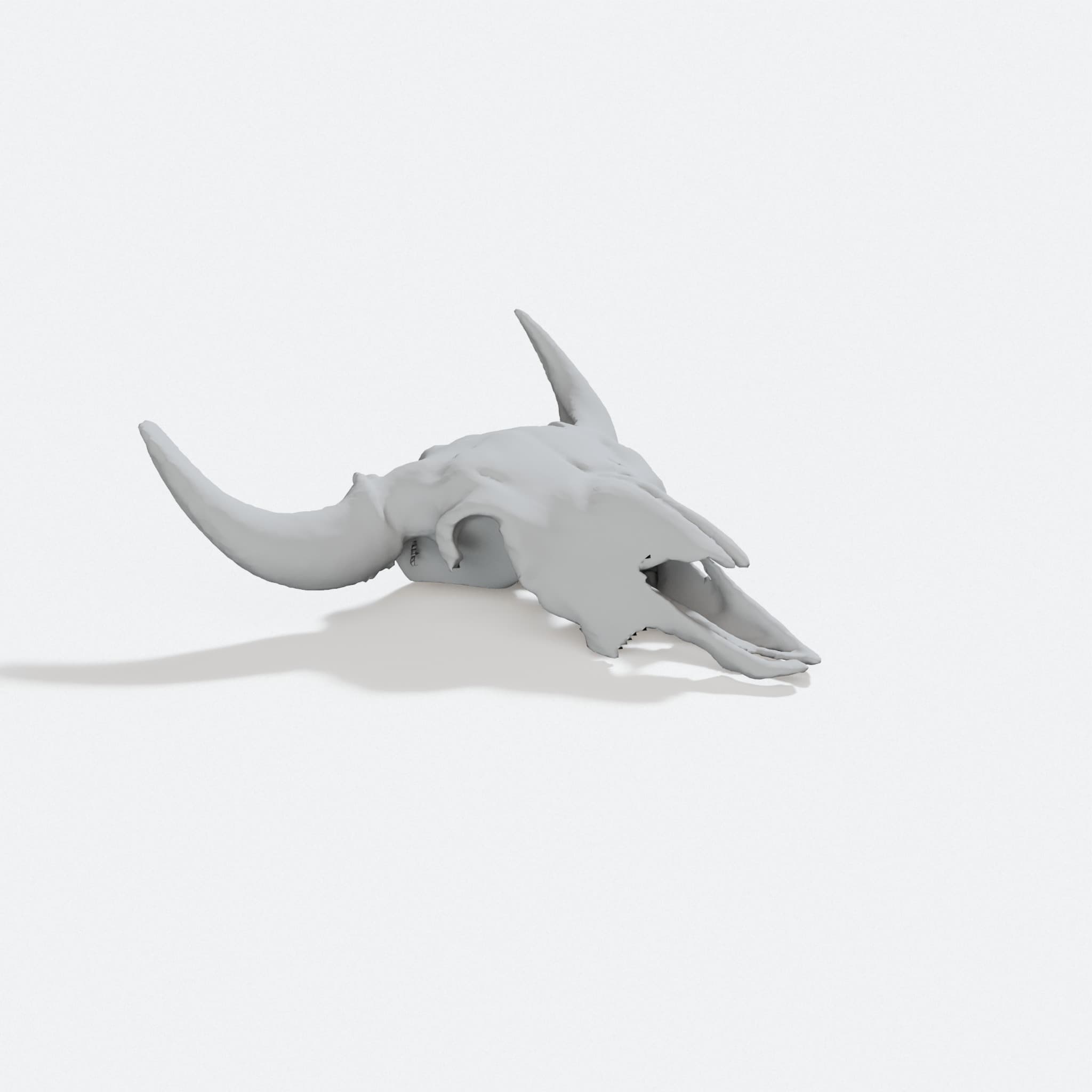 Buffalo Skull 3D Printed Home Decor - American Bison Wall Art, turn three quarter