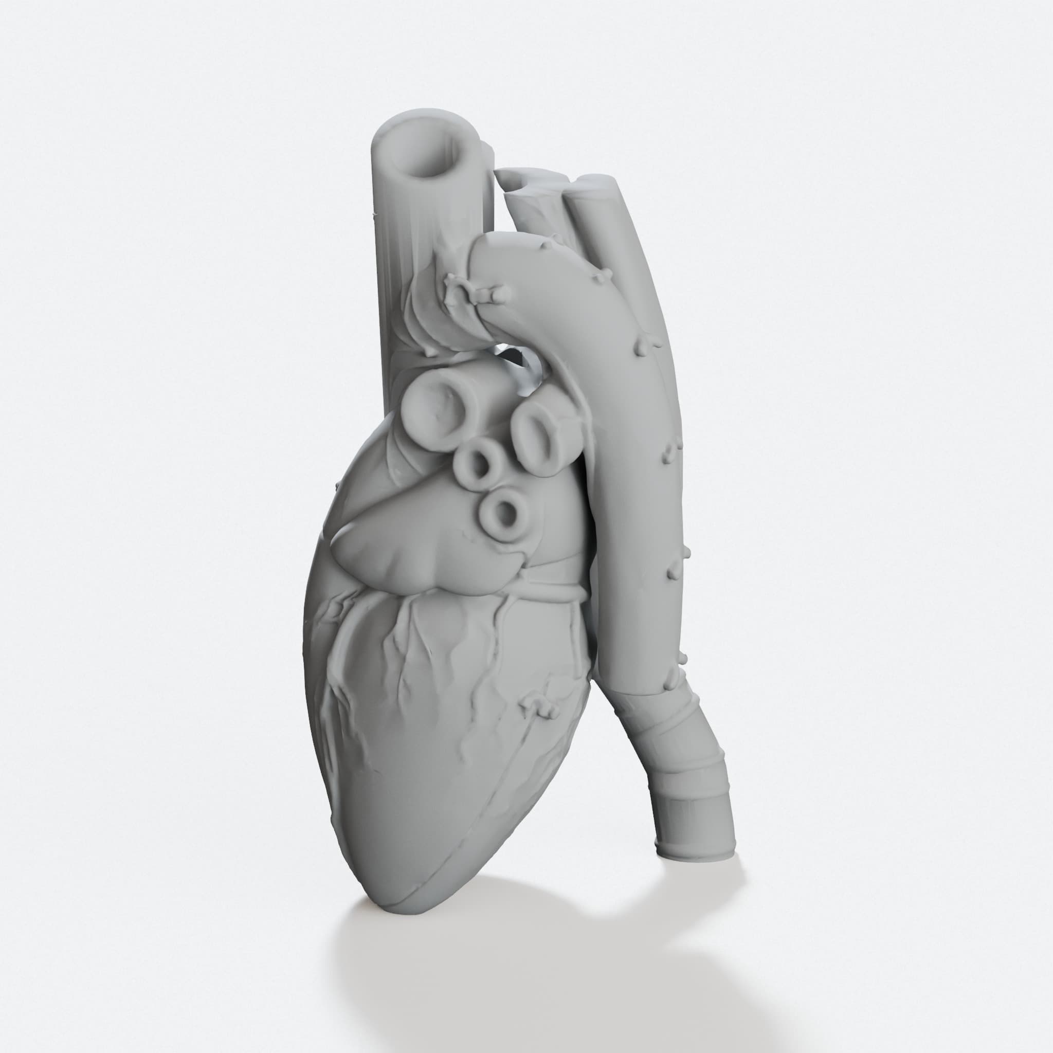 Anatomical Heart Vase, 3D Printed Home Decor, hero tilt