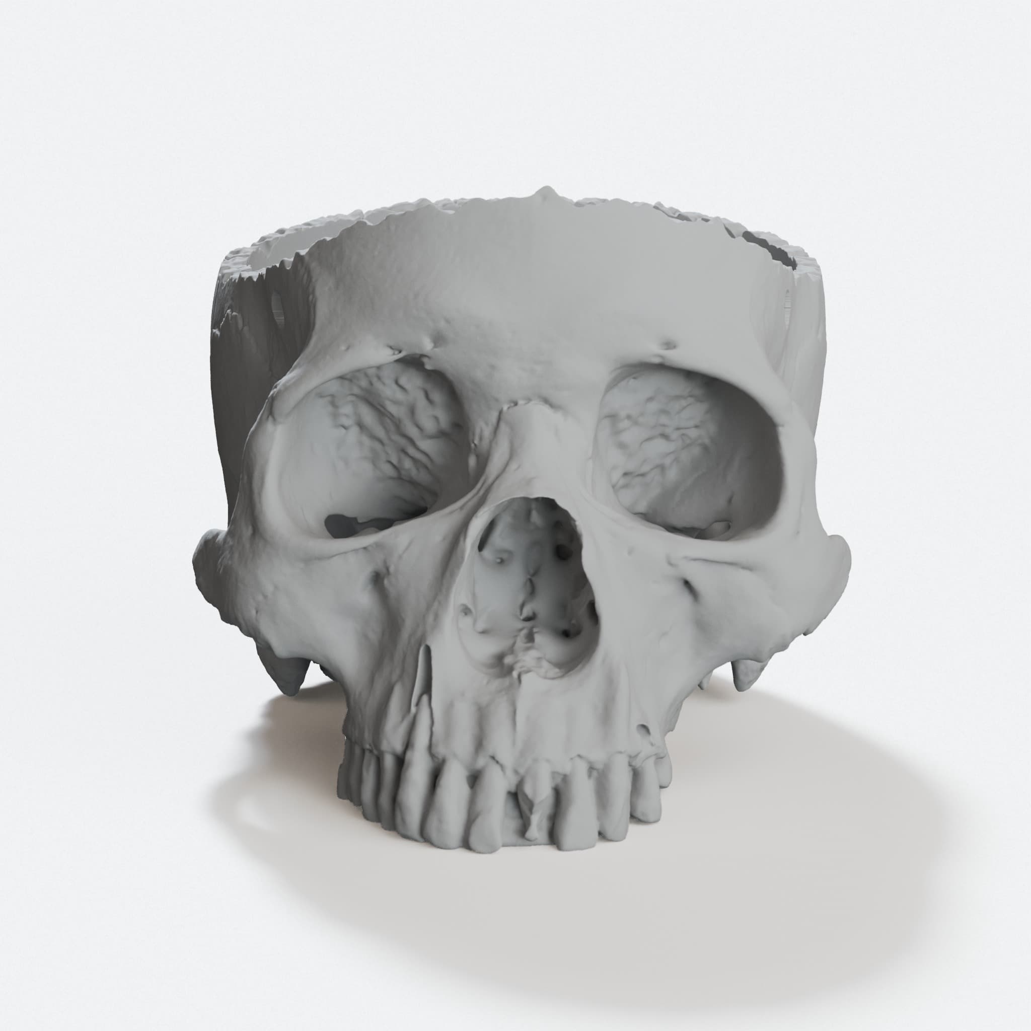 Hanging Skull Planter 3D Printed Home Decor, hero tilt