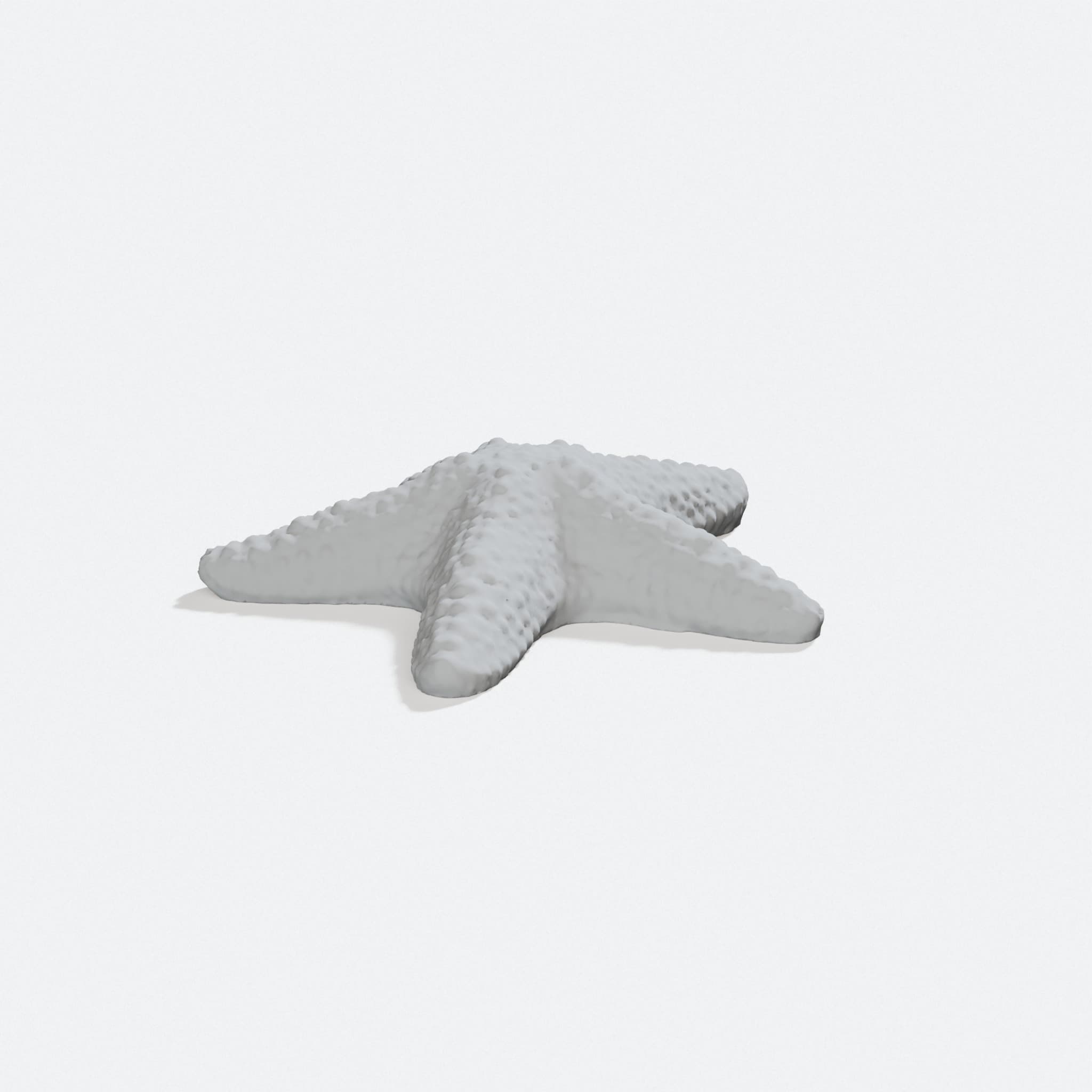 3D Printed Starfish Home Decor, turn three quarter