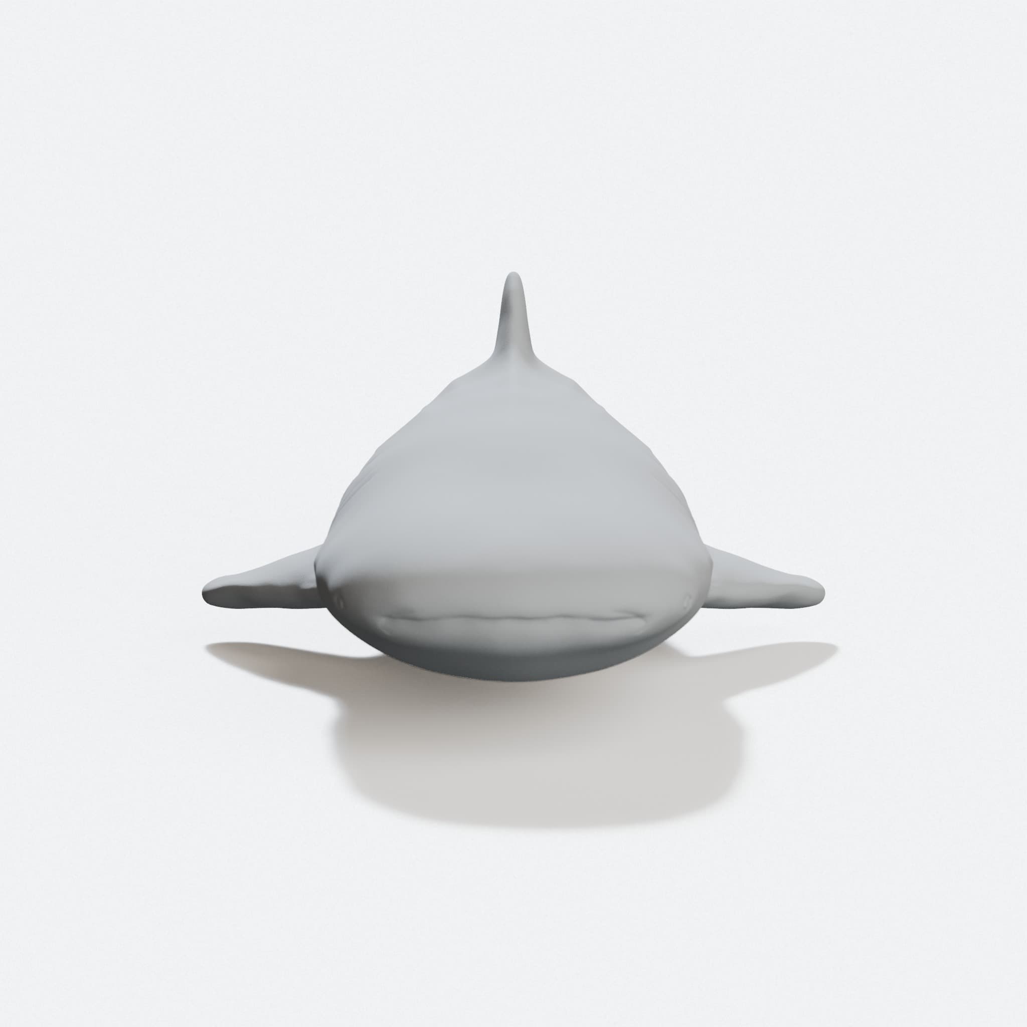 ã‚¸ãƒ³ãƒ™ã‚¨ã‚¶ãƒ¡ï¼ˆWhalesharkï¼‰3Dãƒ‡ãƒ¼ã‚¿