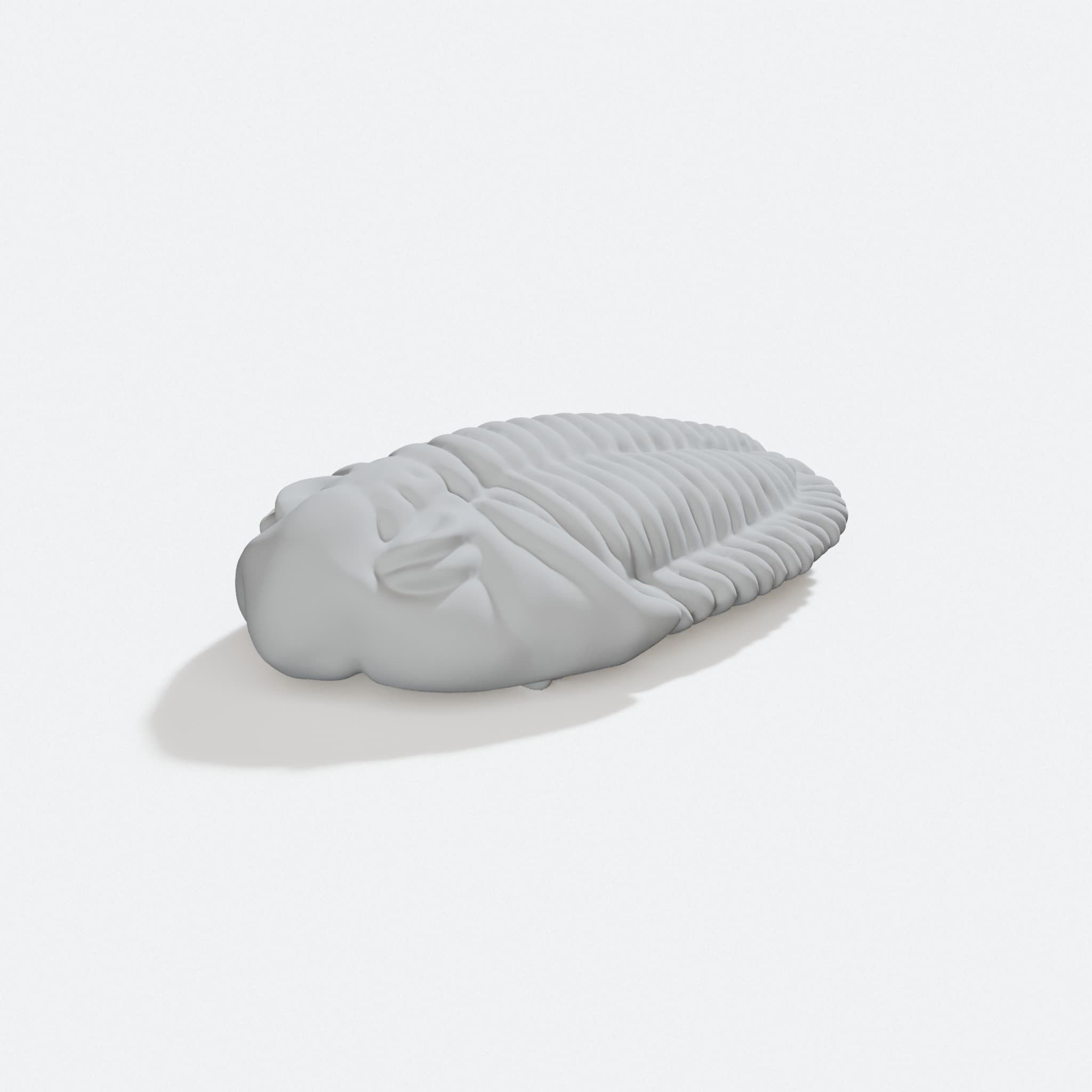 Trilobite 3D Printed Toy, Ready to Print, turn three quarter