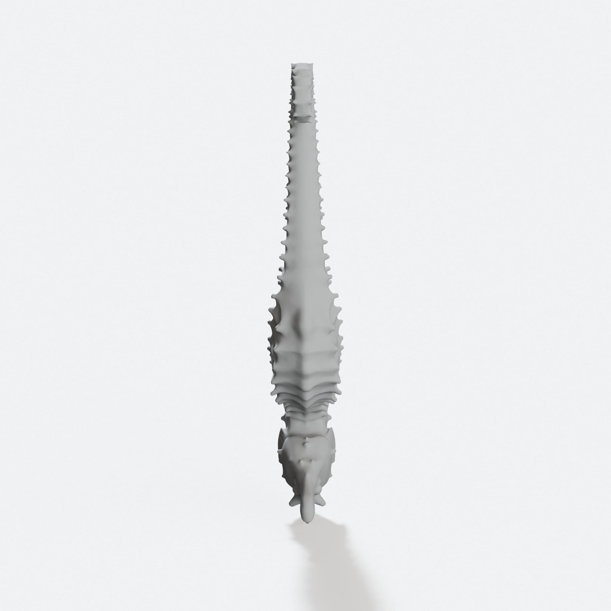 Seahorse 3D Decor Figurine for Sea Life Lovers, hero tilt