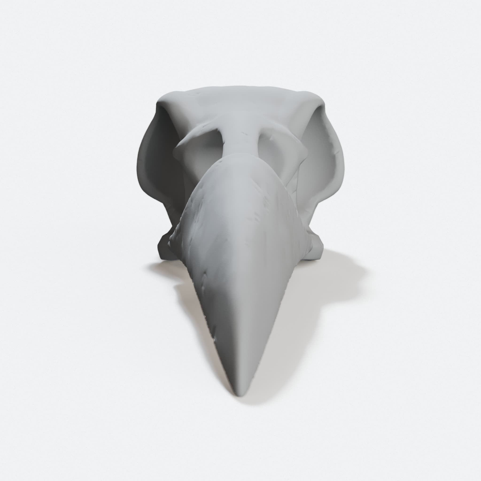 Raven Skull Display Piece, Detailed Bone Decor, hero tilt