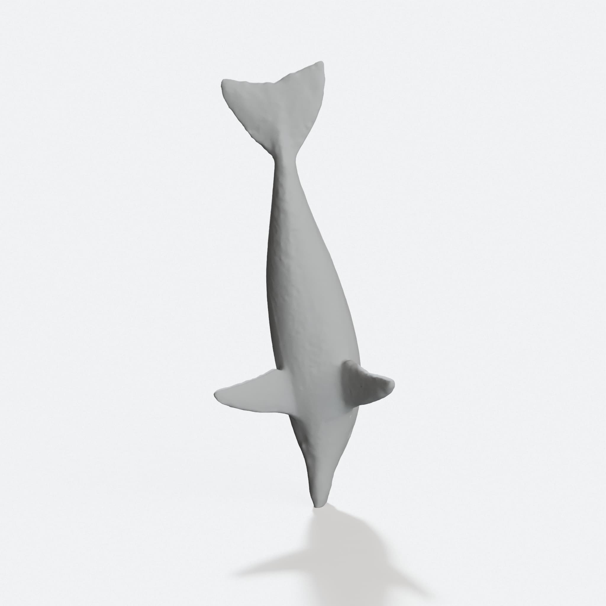Hammerhead Shark & Dolphin 3D Printed Home Decor Set, hero tilt