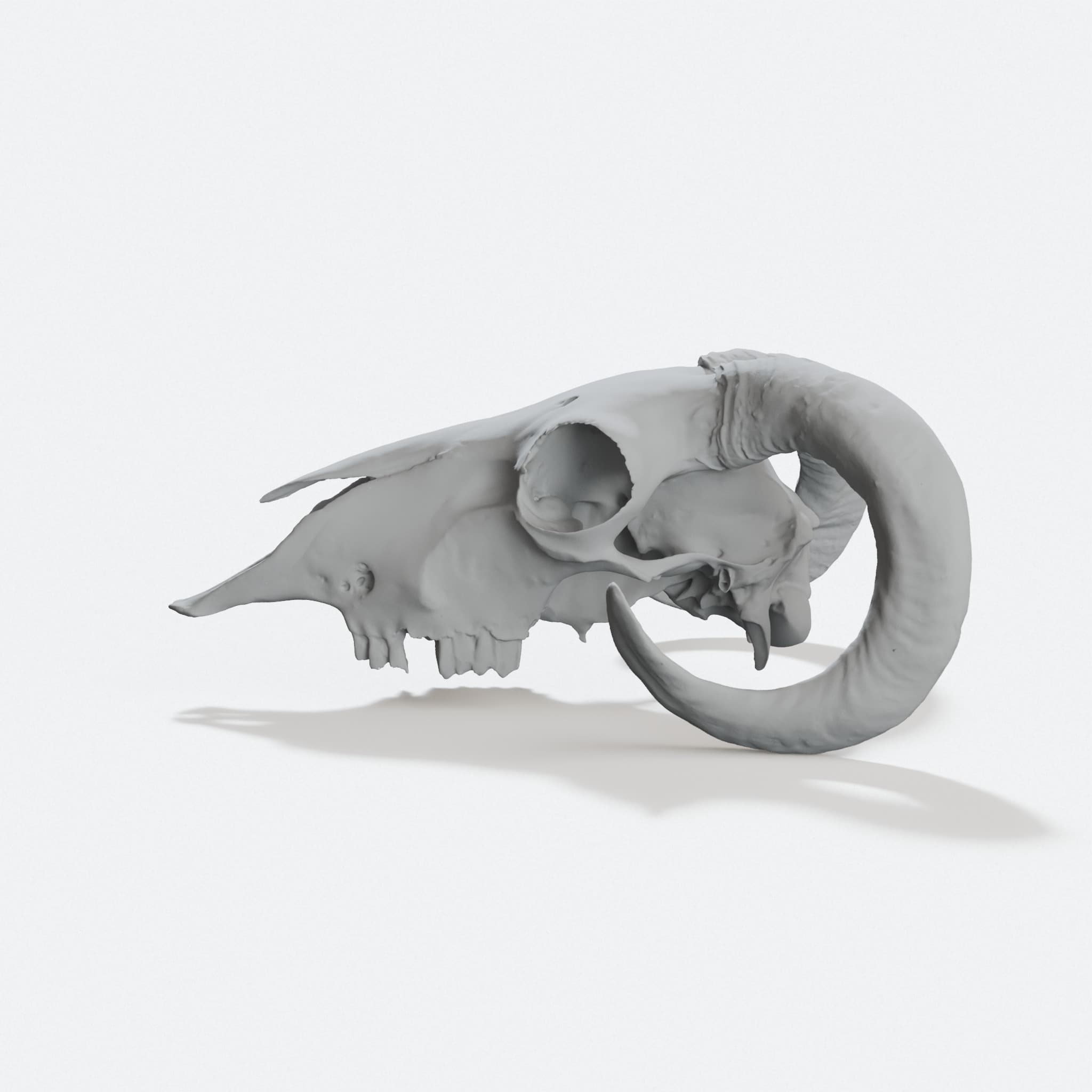 Goal Skull 3D Printed Home Decor, hero tilt