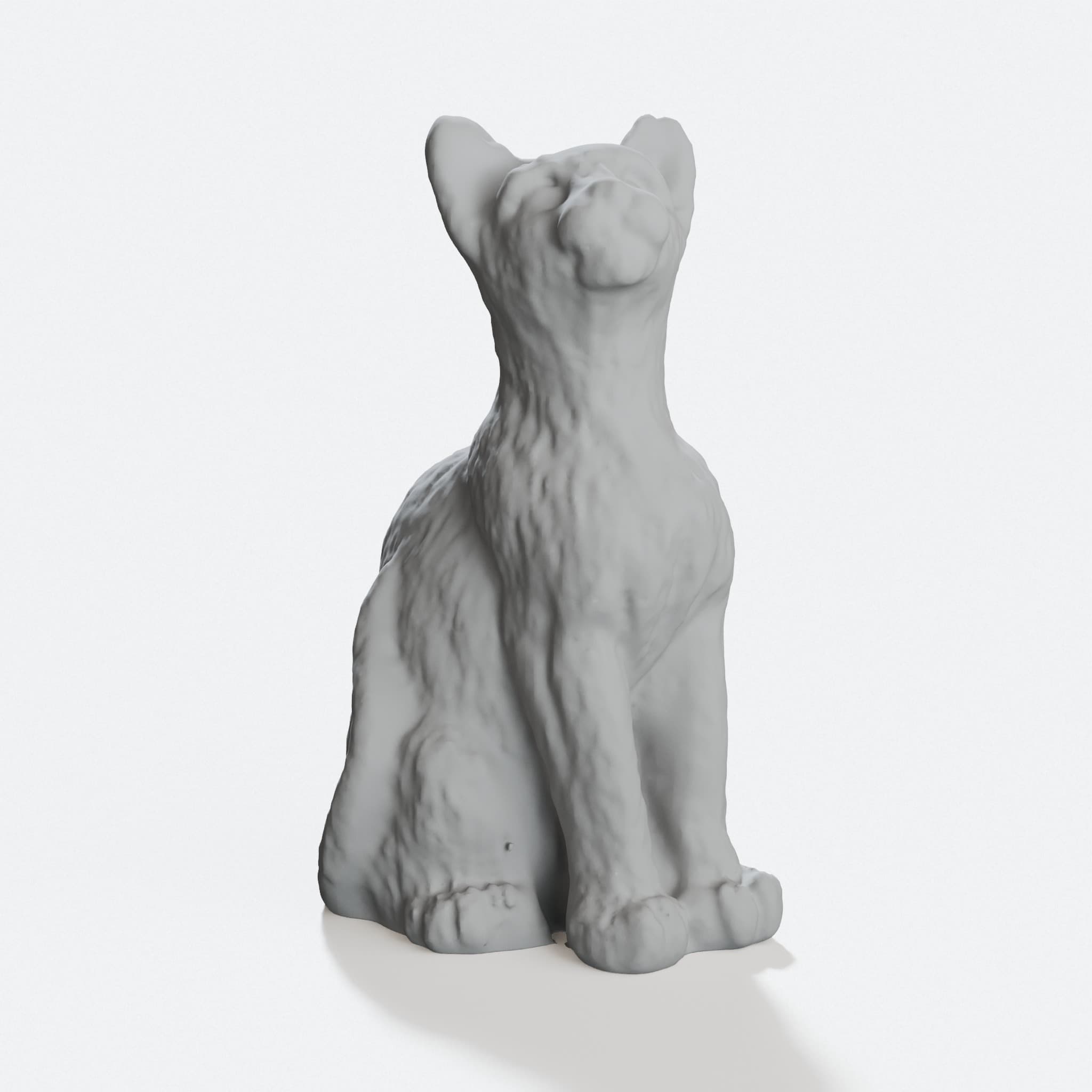 Cat Scan 3D Printed Home Decor Figure, hero tilt