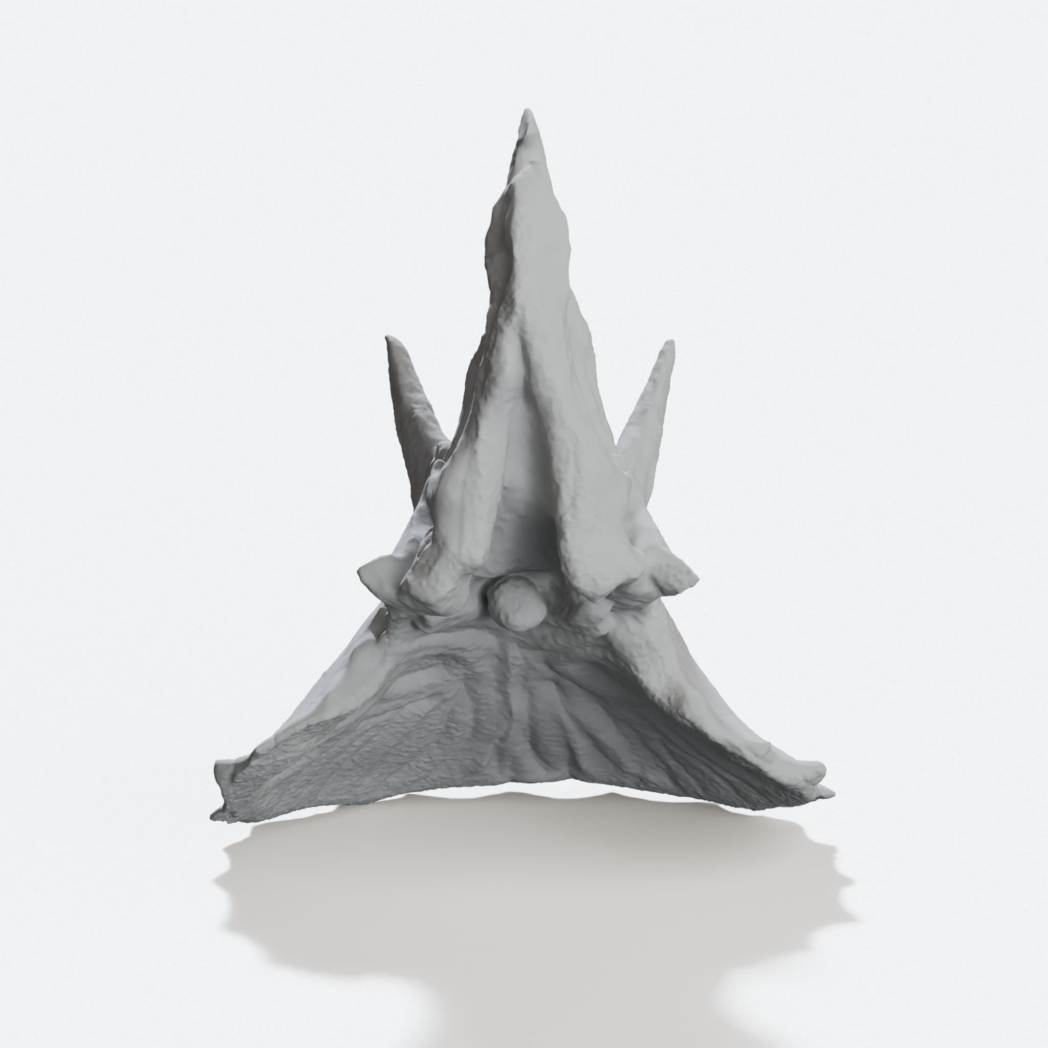 Triceratops Skull 3D Printed Home Decor, hero tilt