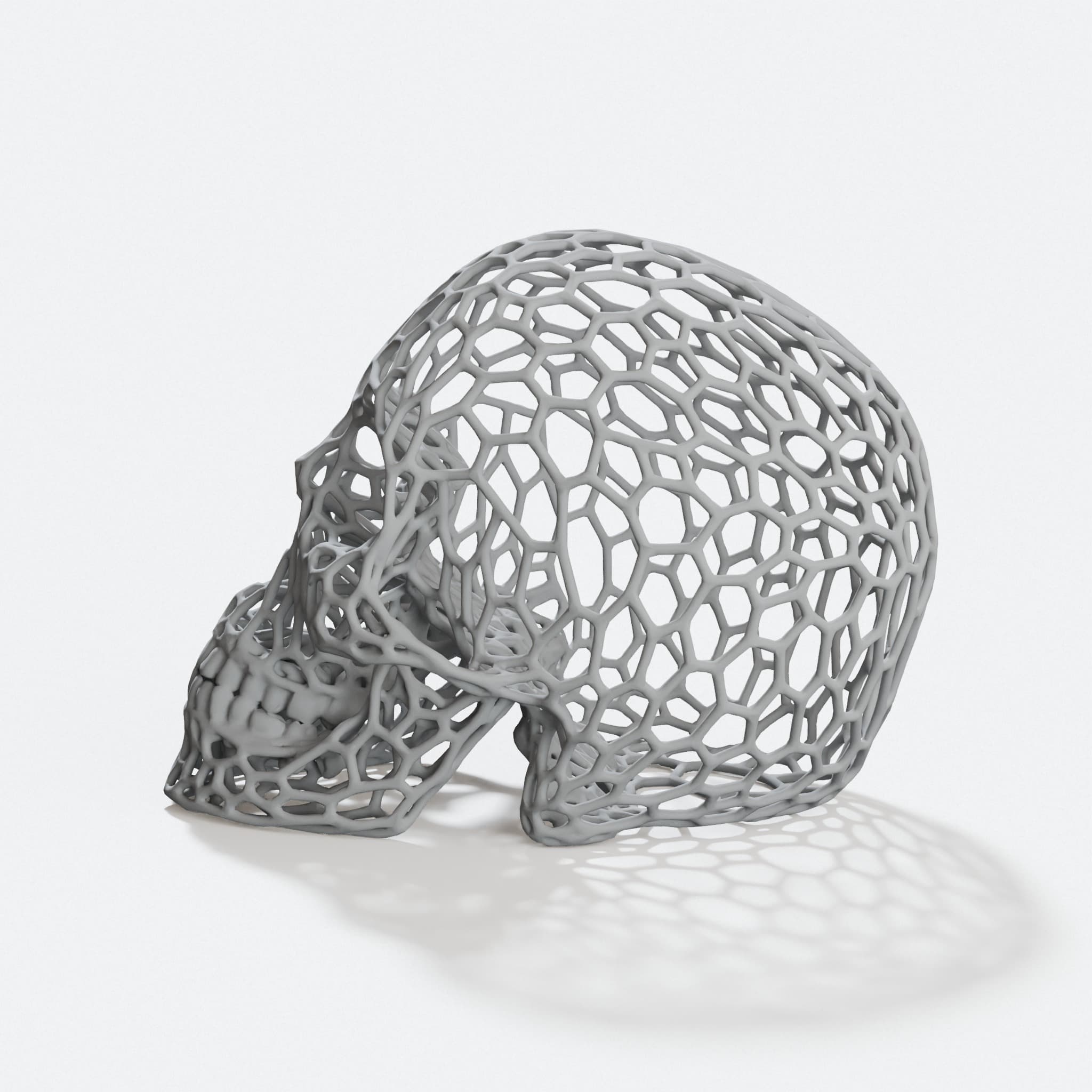 Voronoi Skull 3D Printed Home Decor | Geometric Human Skull, hero tilt