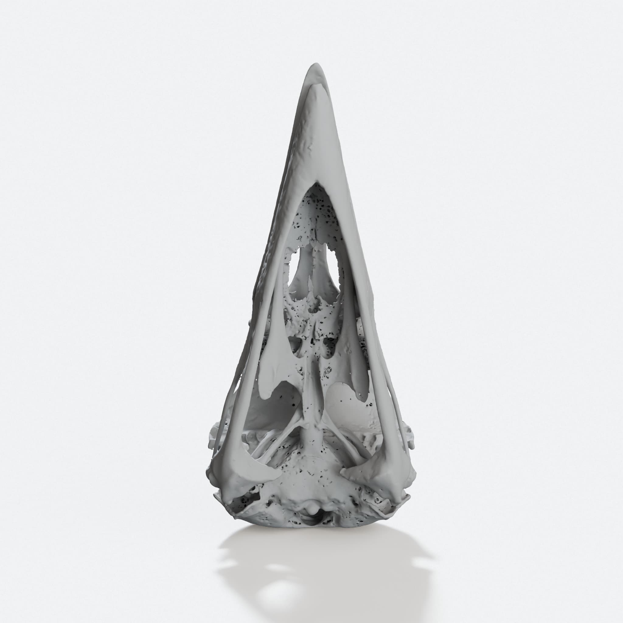Raven Skull 3D Printed Home Decor, hero tilt
