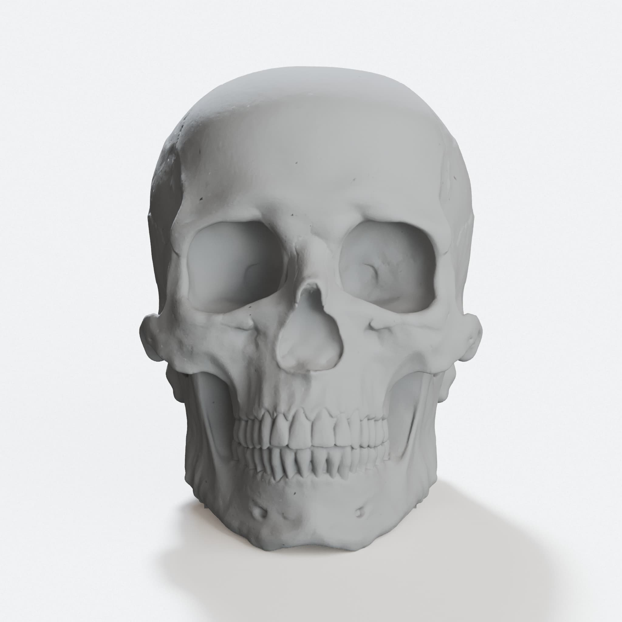 Skull Pen Holder and Thumb Drive Storage, hero tilt