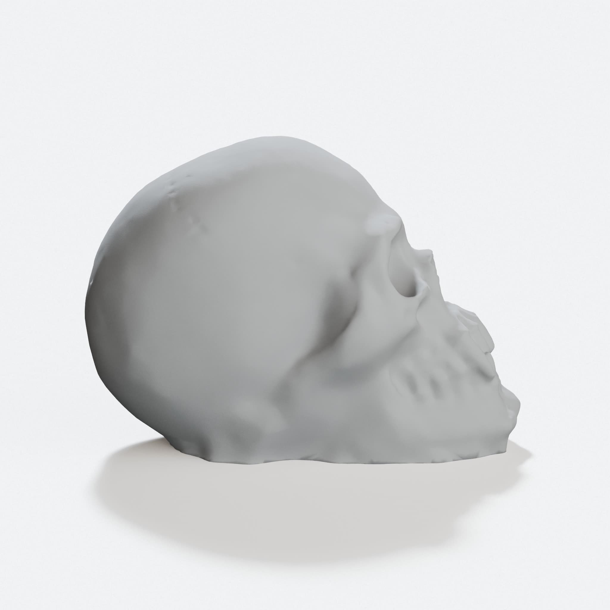 Vampire Skull with Pointed Teeth – 3D Printed Home Decor, hero tilt
