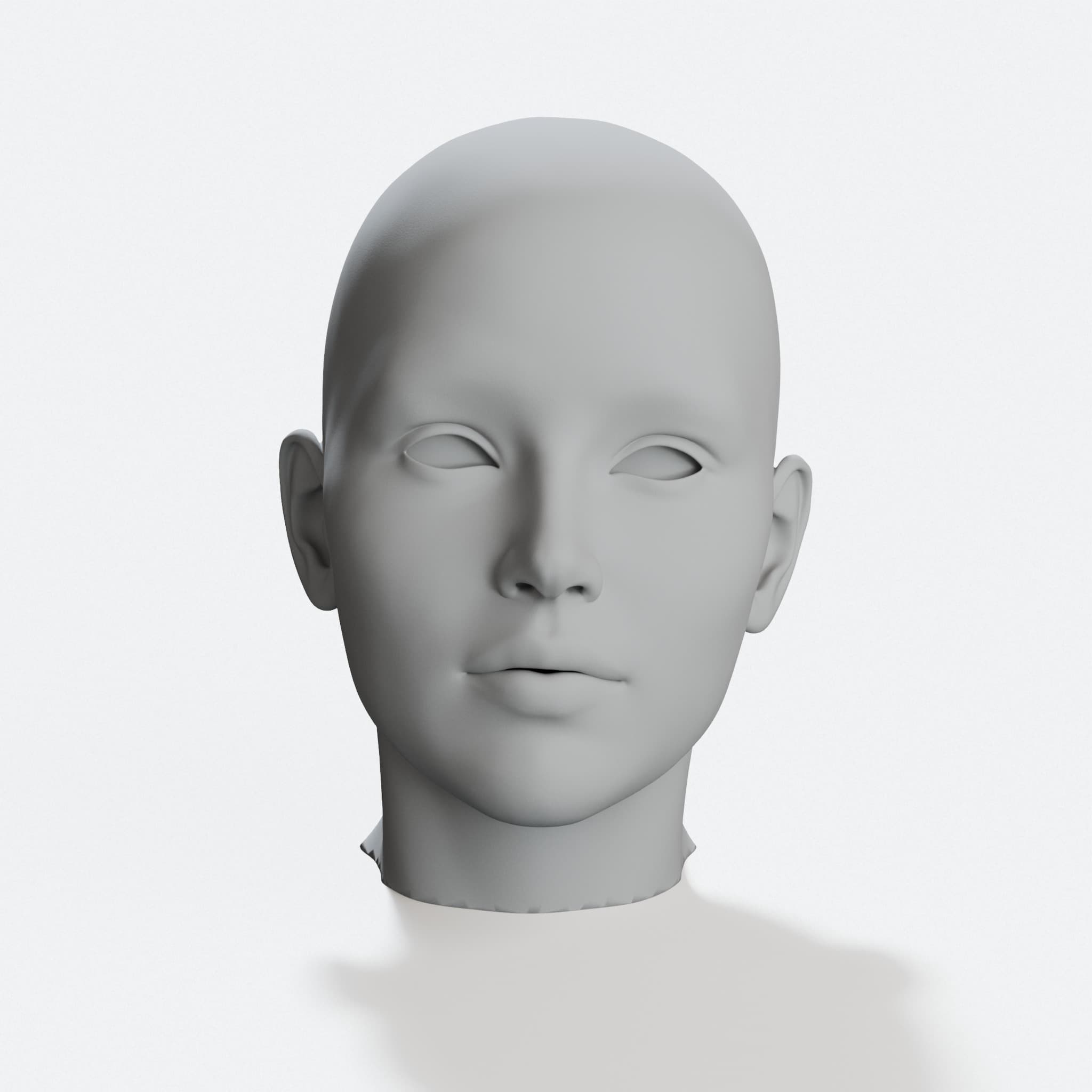 Head Sculpture - 3D Printed Decorative Ornament, hero tilt