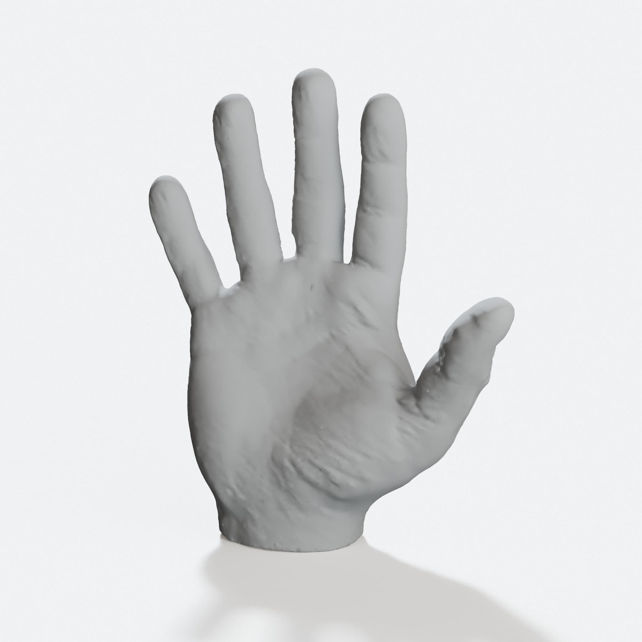 3D Printable Hand Model for Anatomy Learning, hero tilt
