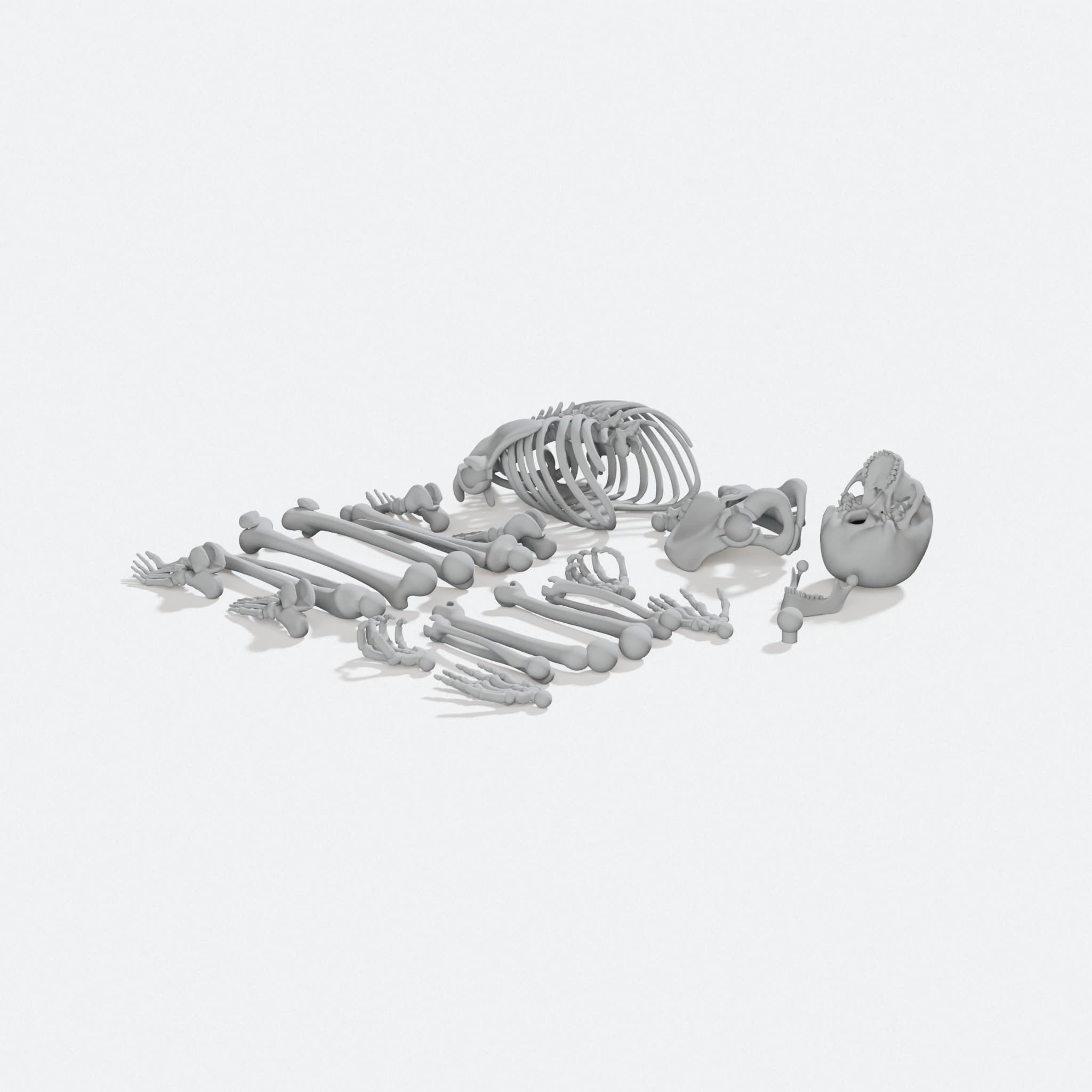 Posable Skeleton 3D Printed Toy, Mr Bones Remix, turn three quarter