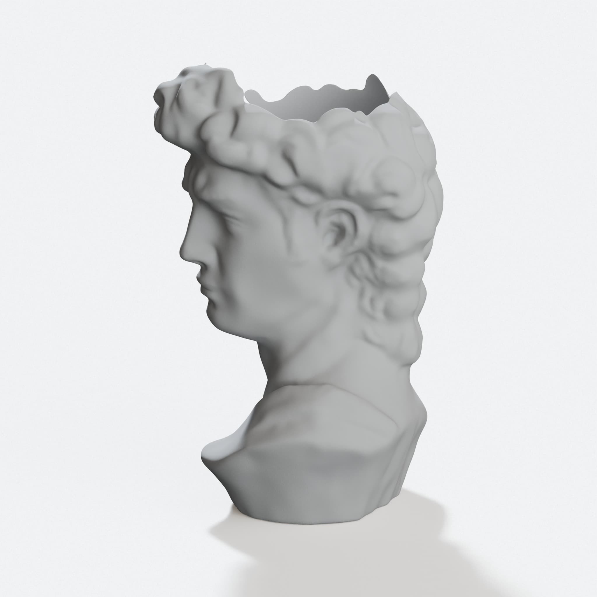 David Head 3D Printed Planter for Your Home, hero tilt
