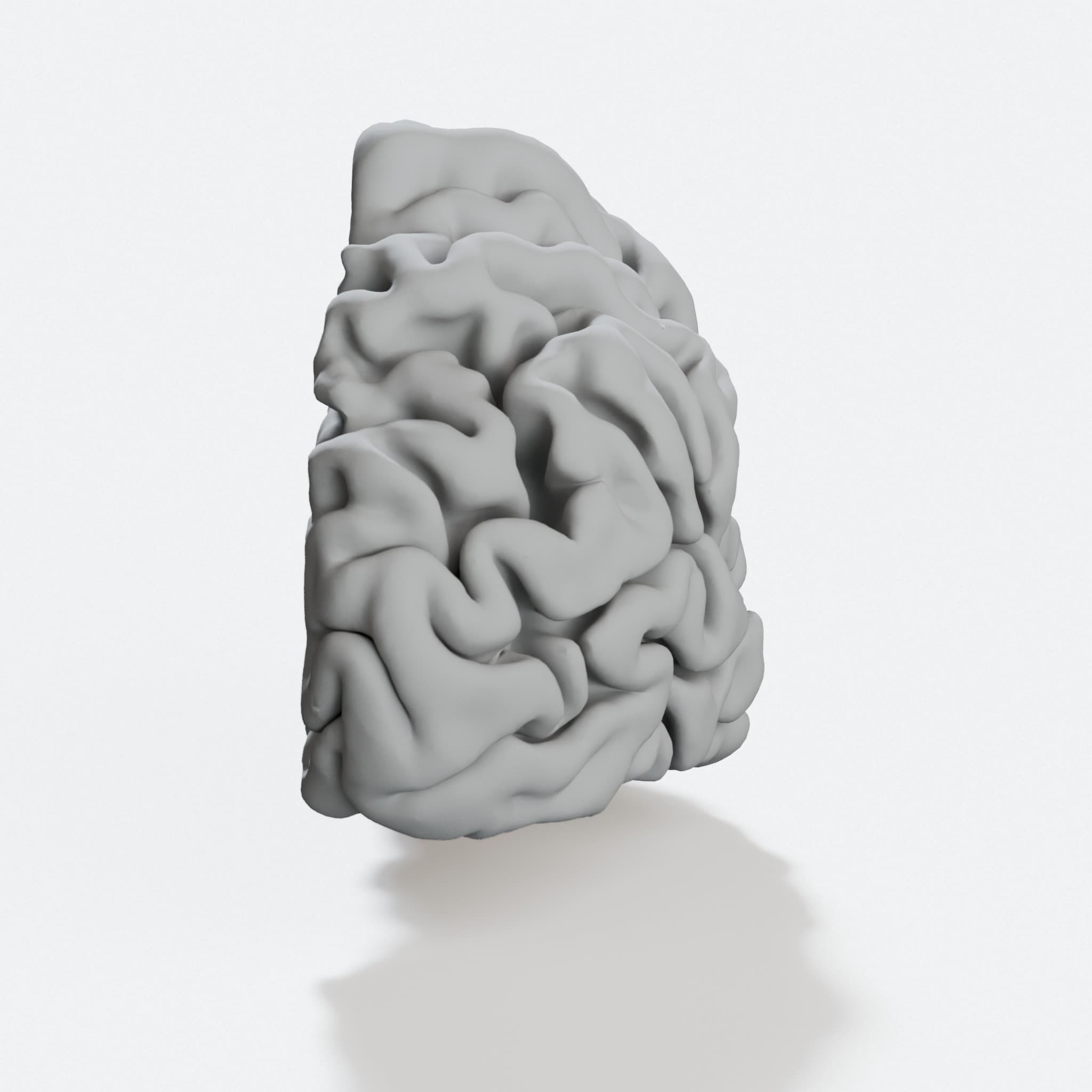 My Brain – 3D Printable Anatomical Model, hero tilt