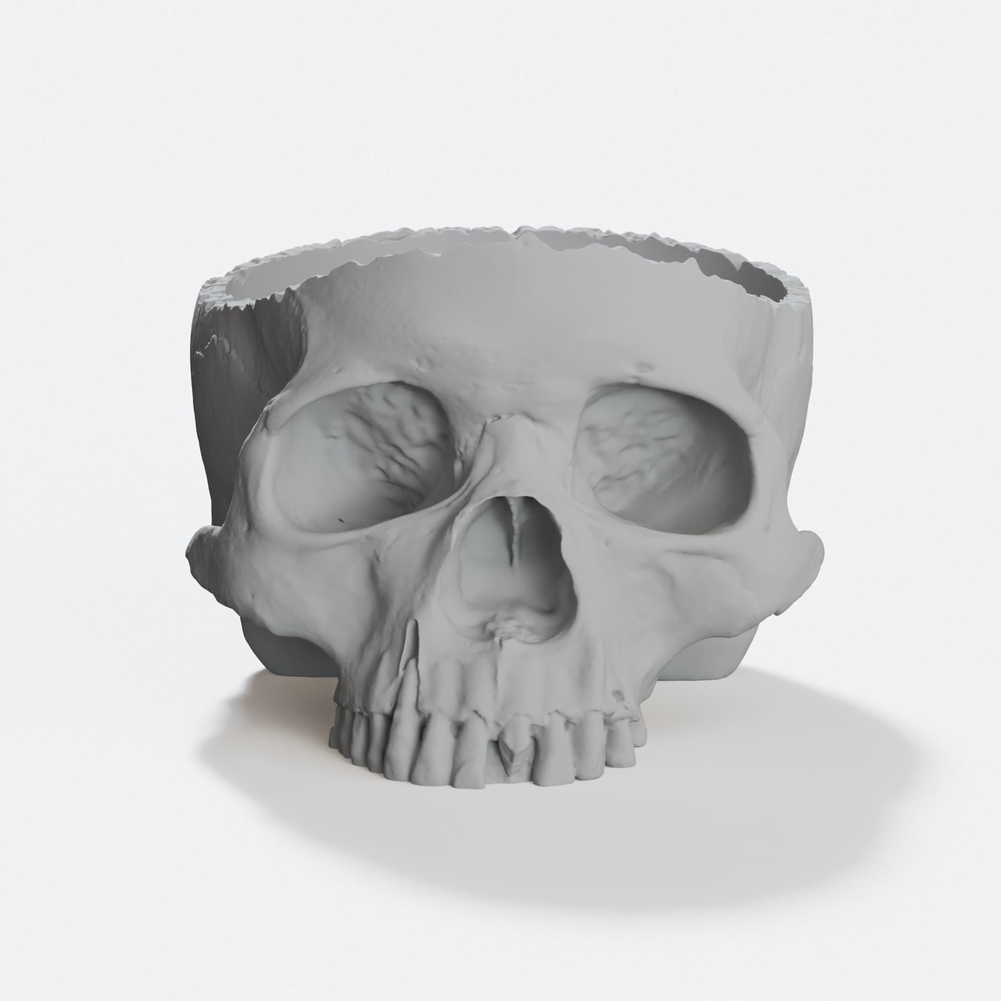 Wide Skull Bowl - 3D Printed Home Decor with Stable Base, hero tilt