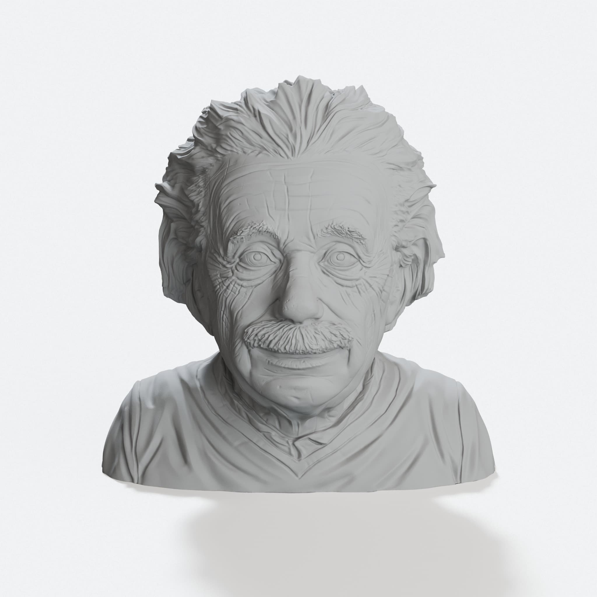 Albert Einstein Bust 3D Printed Home Decor – Support-Free Design, hero tilt