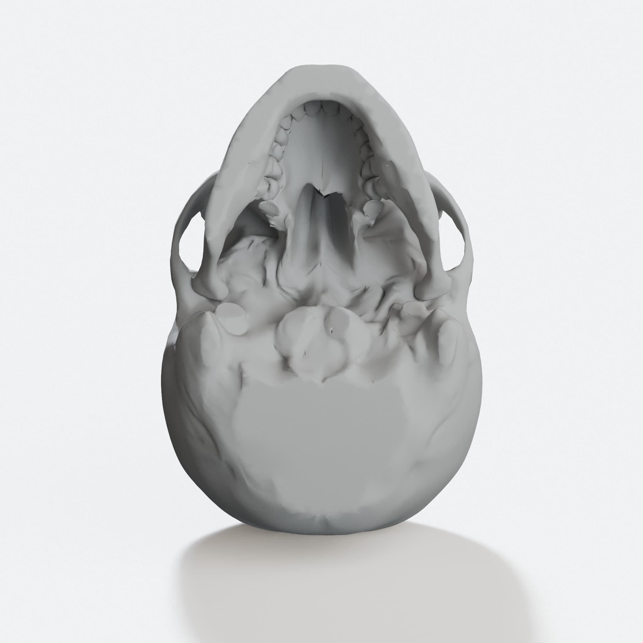 Supportless Skull 3D Print File | Home Decor Model, hero tilt