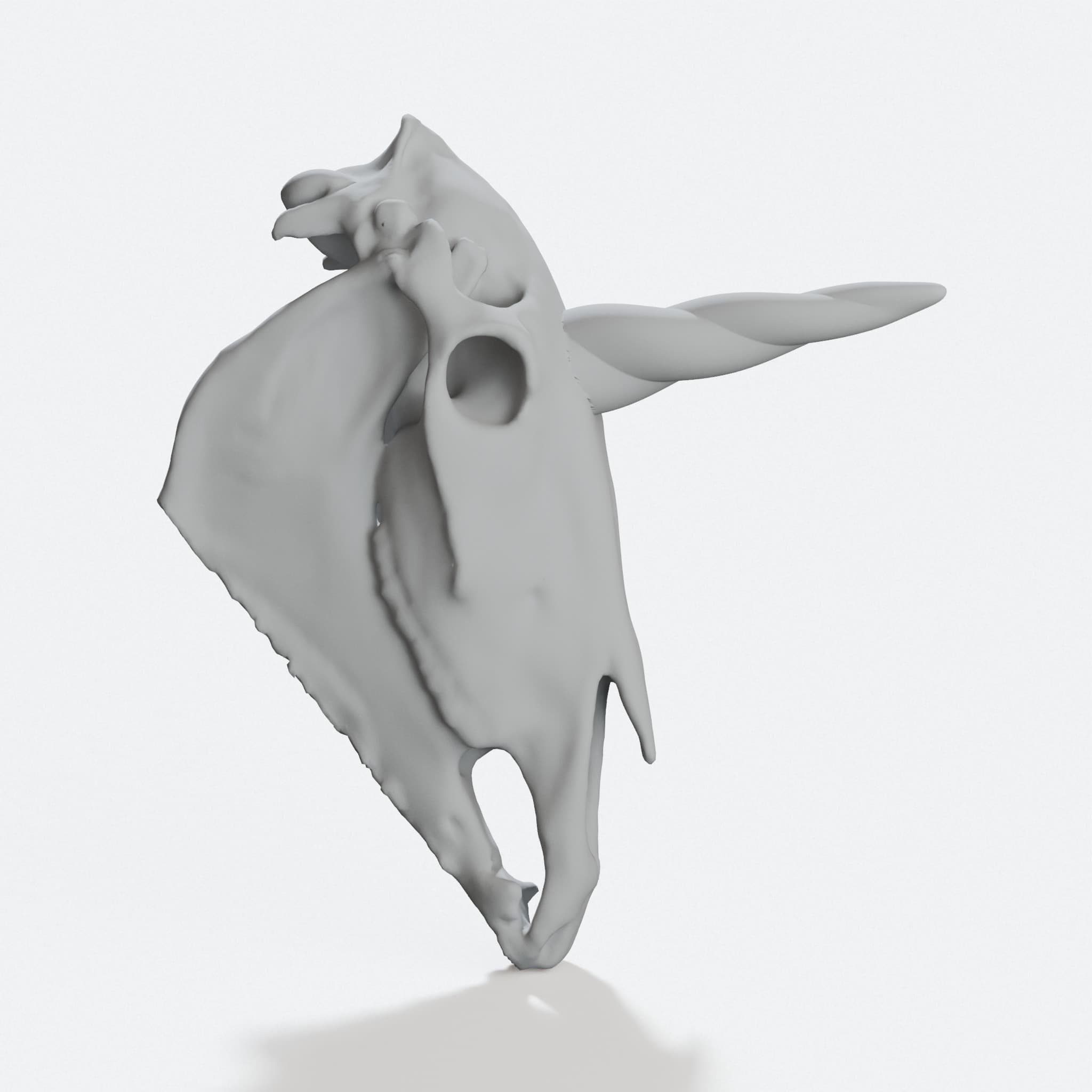 Unicorn Skull 3D Printed Home Decor, hero tilt
