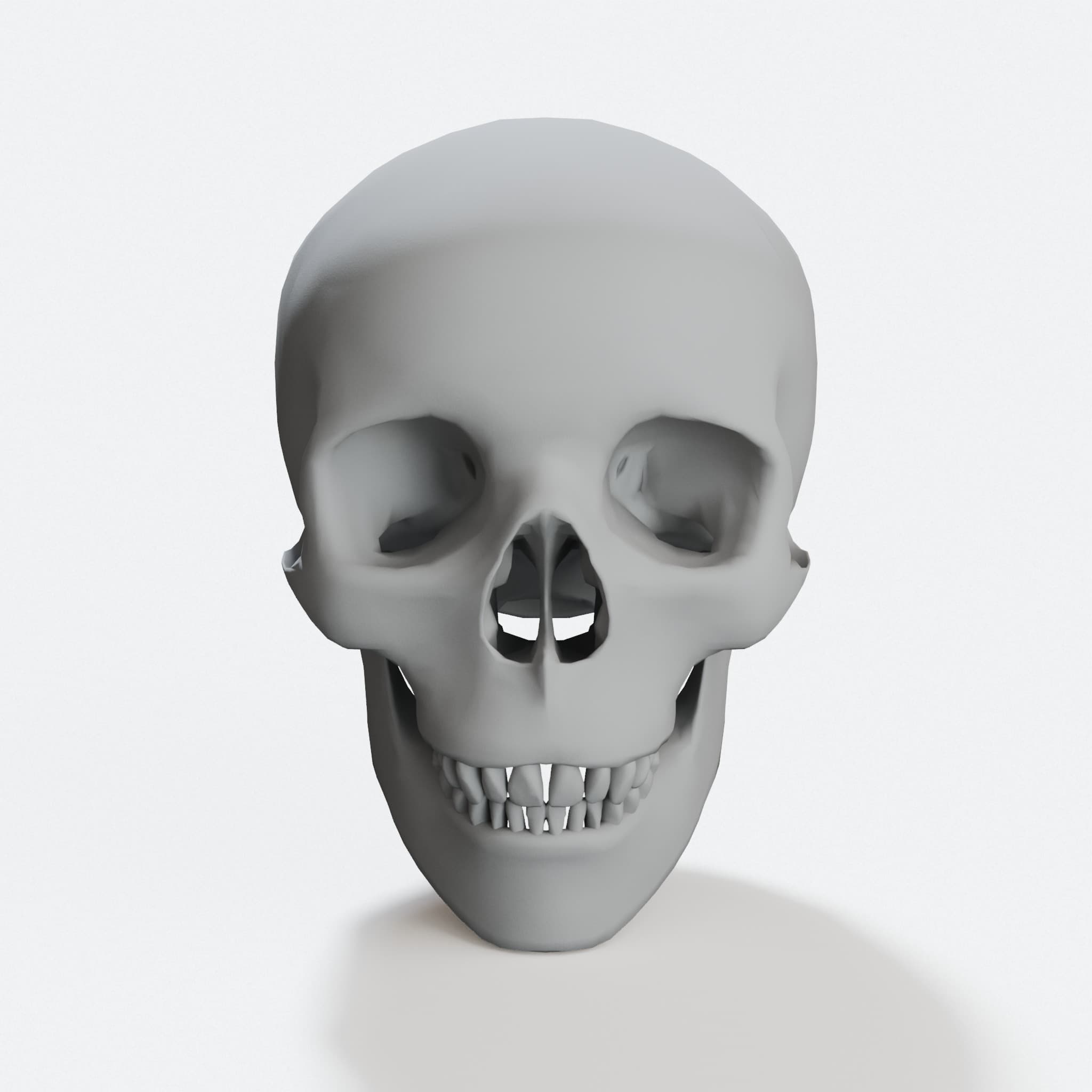Human Skull 3D Printed Home Decor, hero tilt
