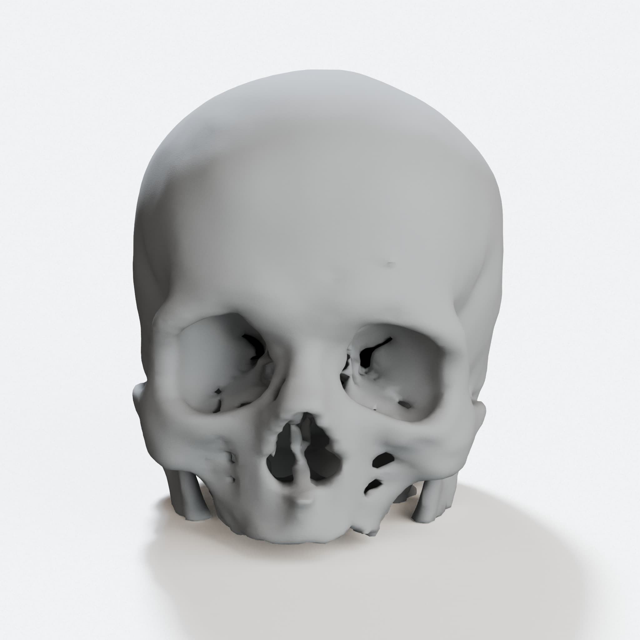 Anatomical Skull 3D Print Model – CT Scan Based Wall Art, hero tilt