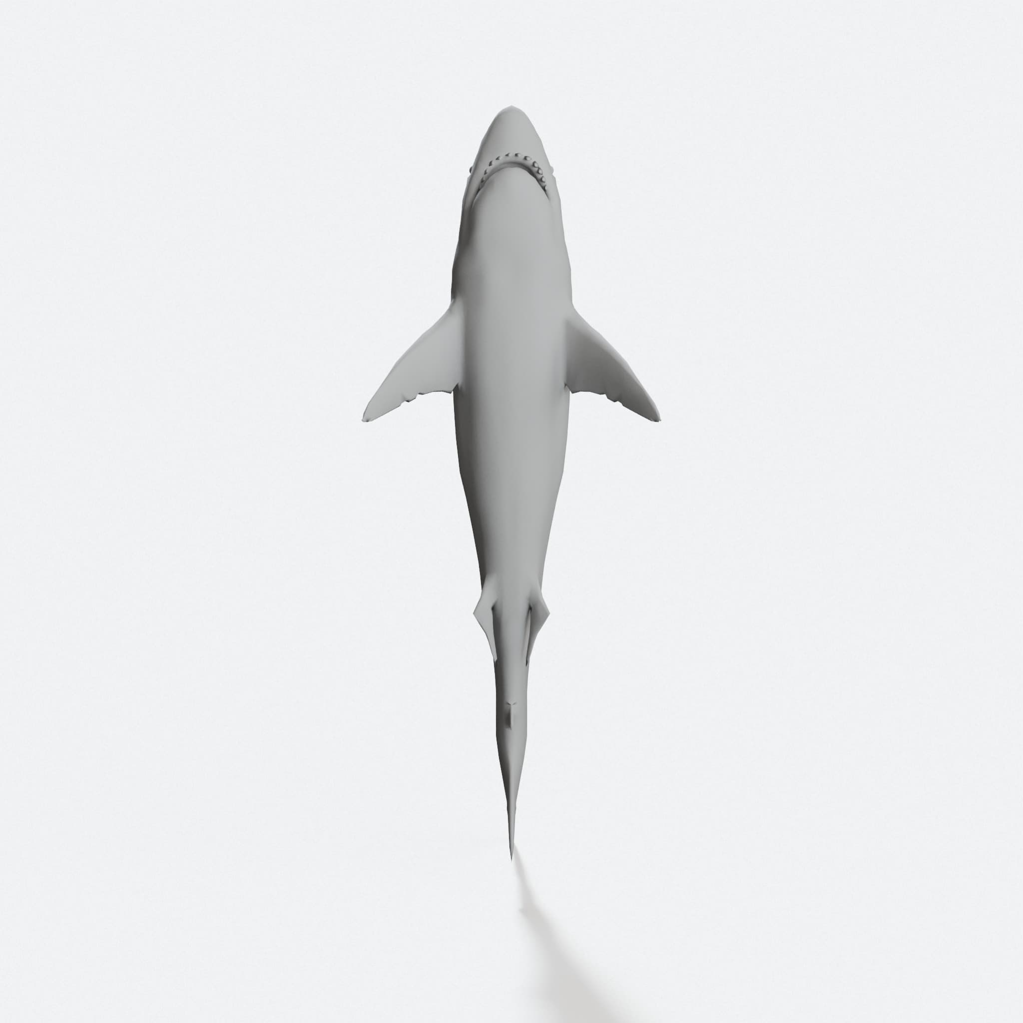 Great White Shark 3D Printable Model, hero tilt