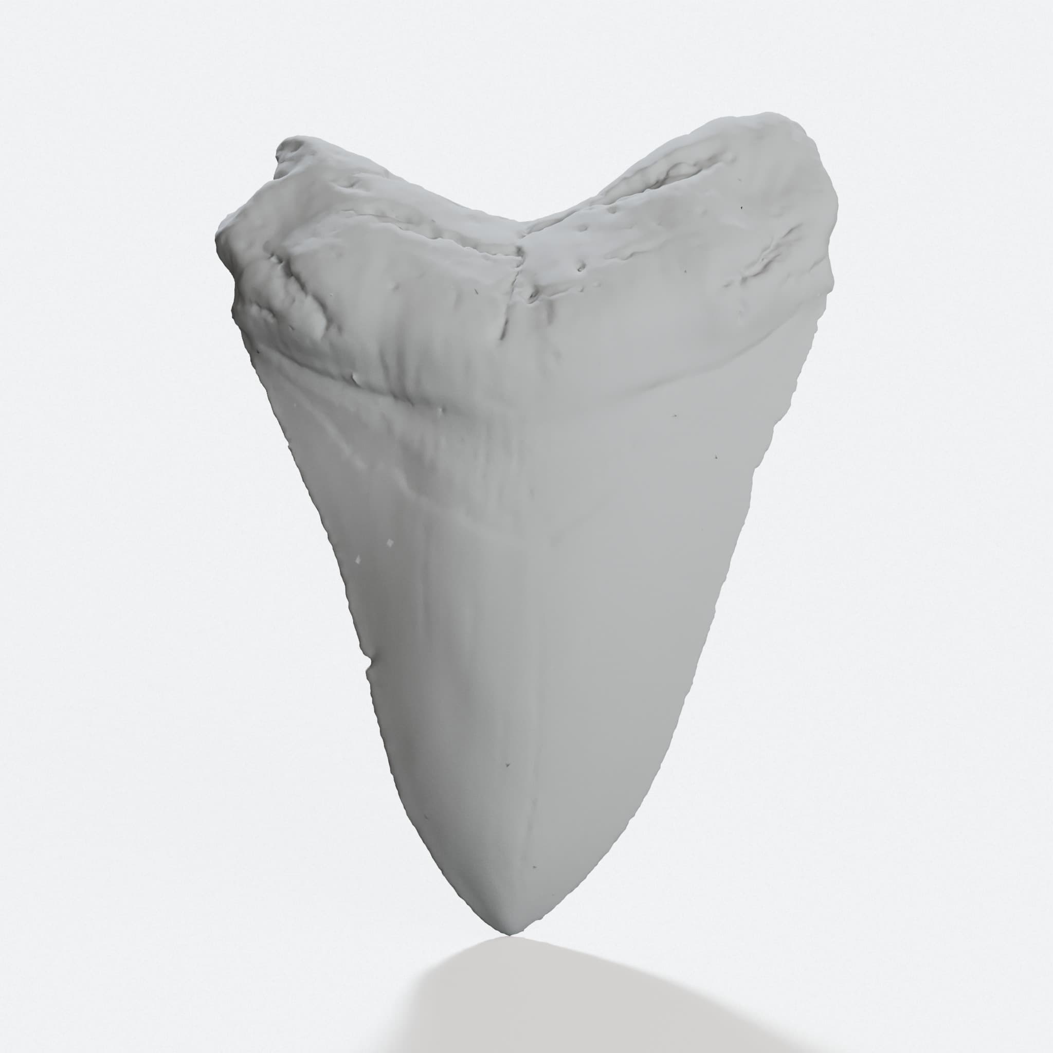 Megalodon Tooth 3D Printed Toy - Pocket Size, hero tilt