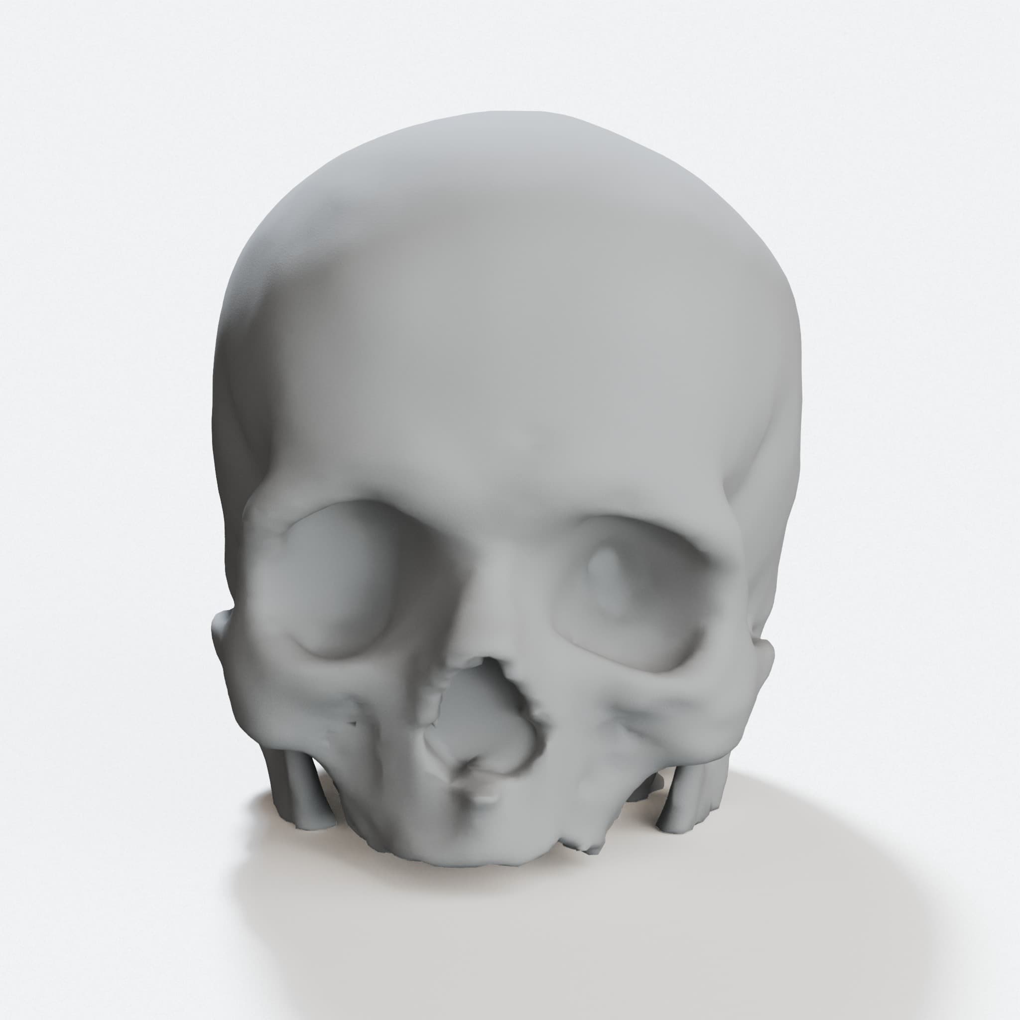 Hollow Skull 3D Print File – Anatomical Home Decor, hero tilt
