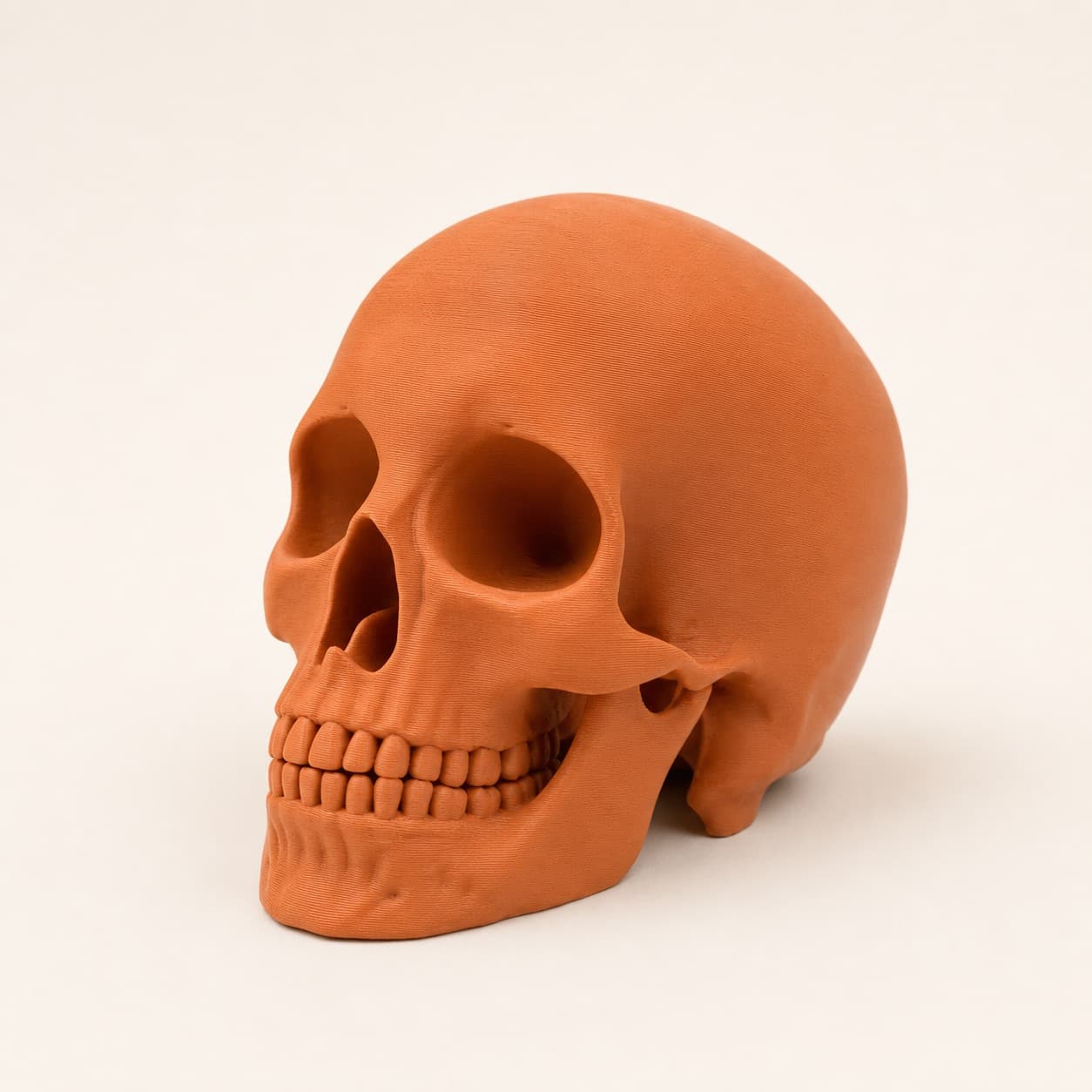 3D Printed Human Skull Decoration