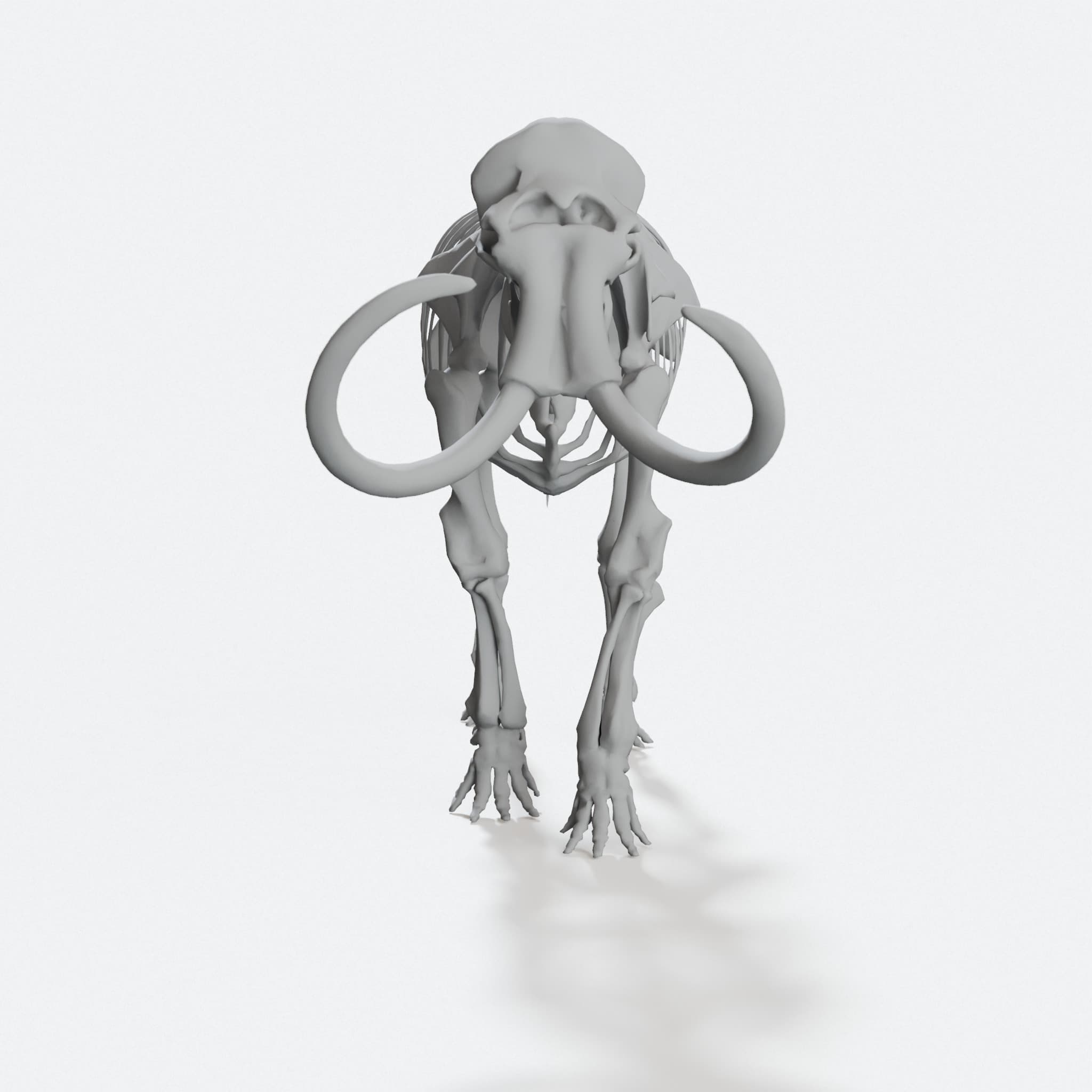 Woolly Mammoth Skeleton Display Model, hero tilt