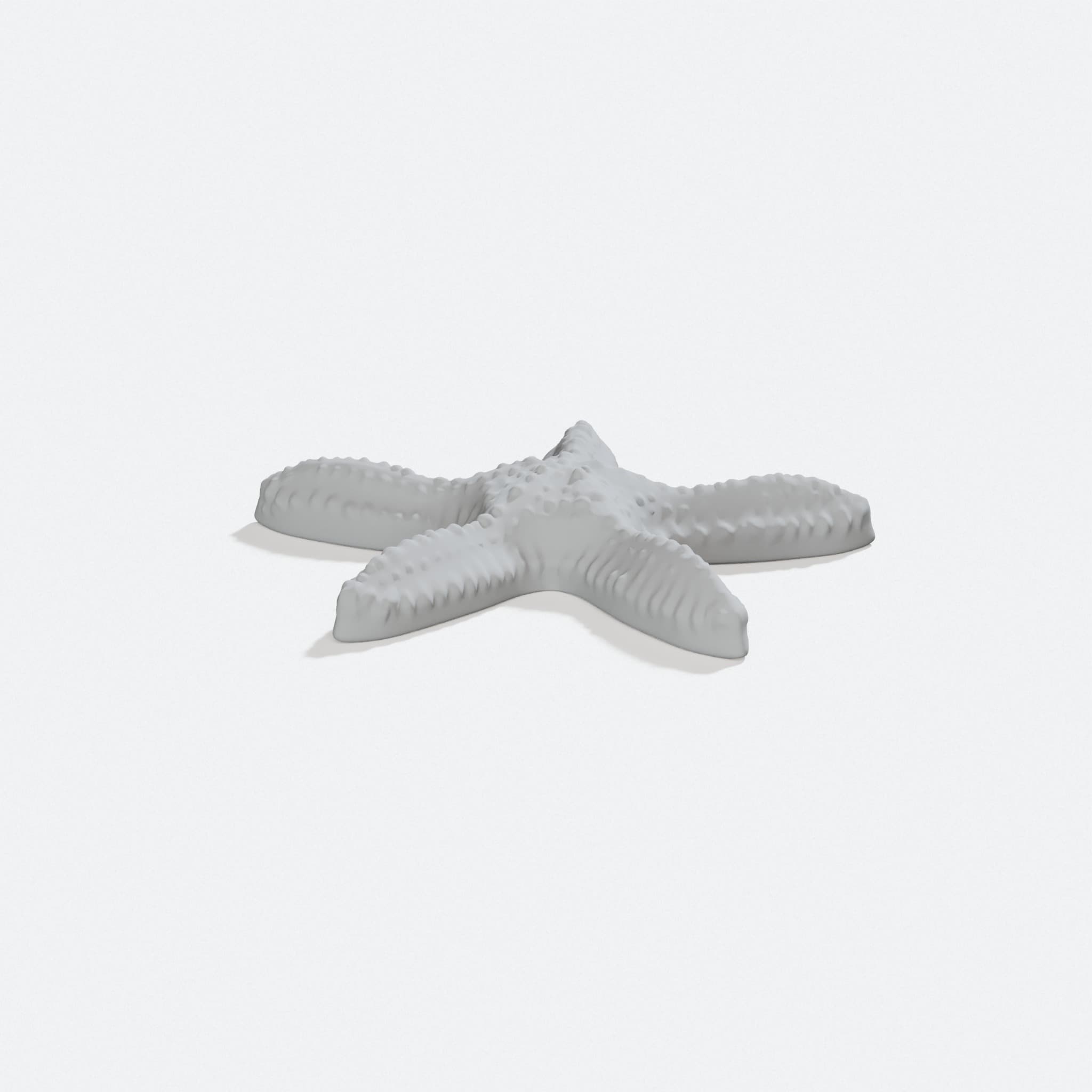 3D Printed Starfish Home Decor Model, turn three quarter